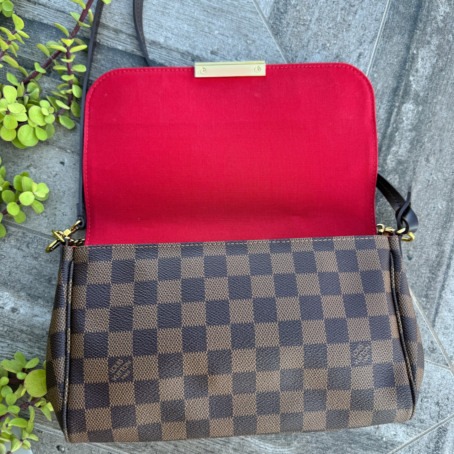 Louis Vuitton Damier Ebene Favorite MM Crossbody
