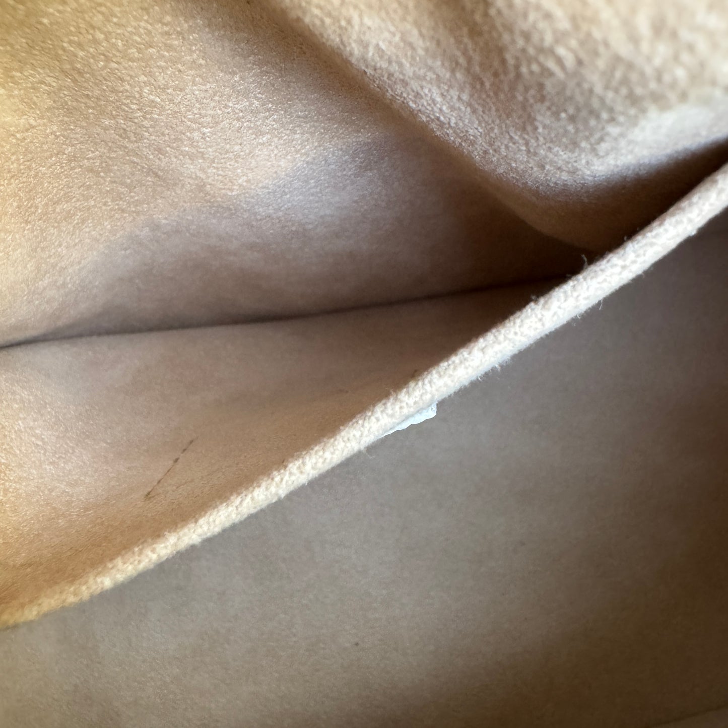 Louis Vuitton Speedy Bandoulière 20 Crossbody