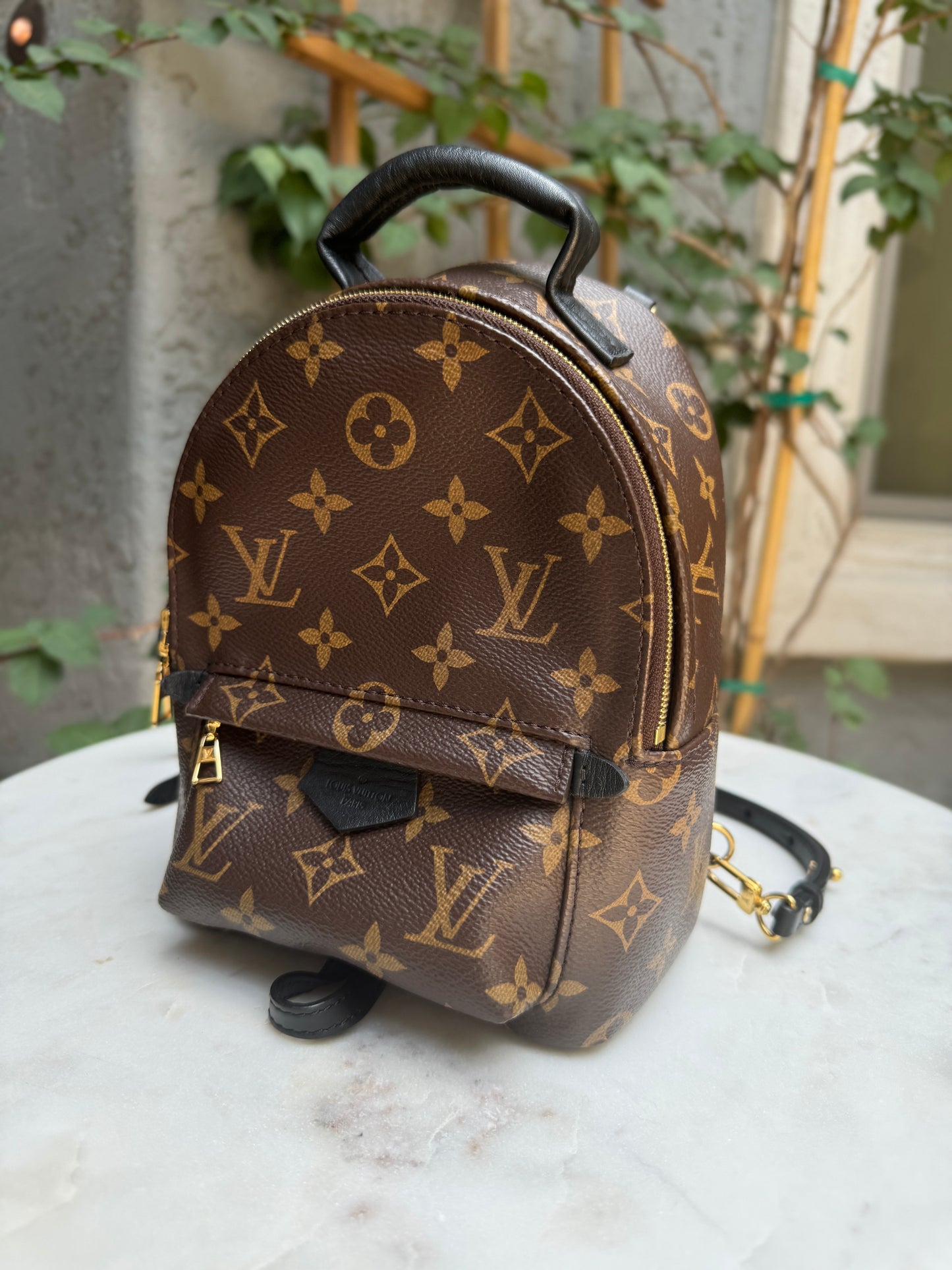 Louis Vuitton Monogram Mini Palm Springs Backpack