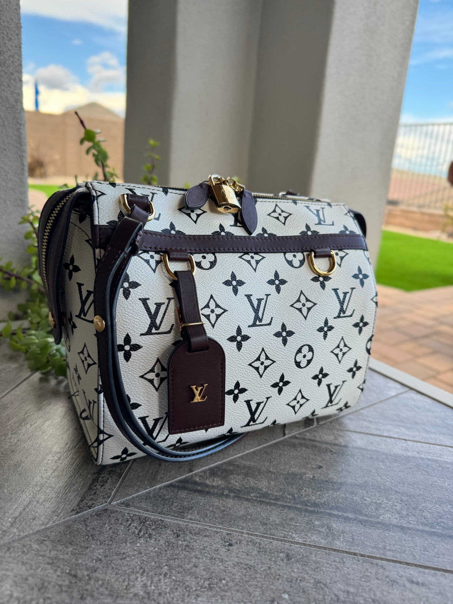 Louis Vuitton Monogram Speedy Amazon PM
