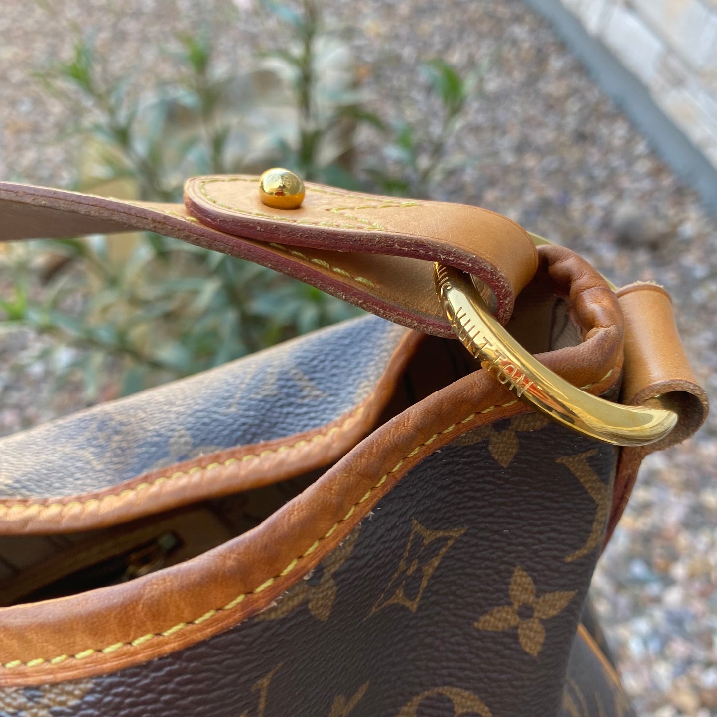 Louis Vuitton Monogram Delightful GM Hobo