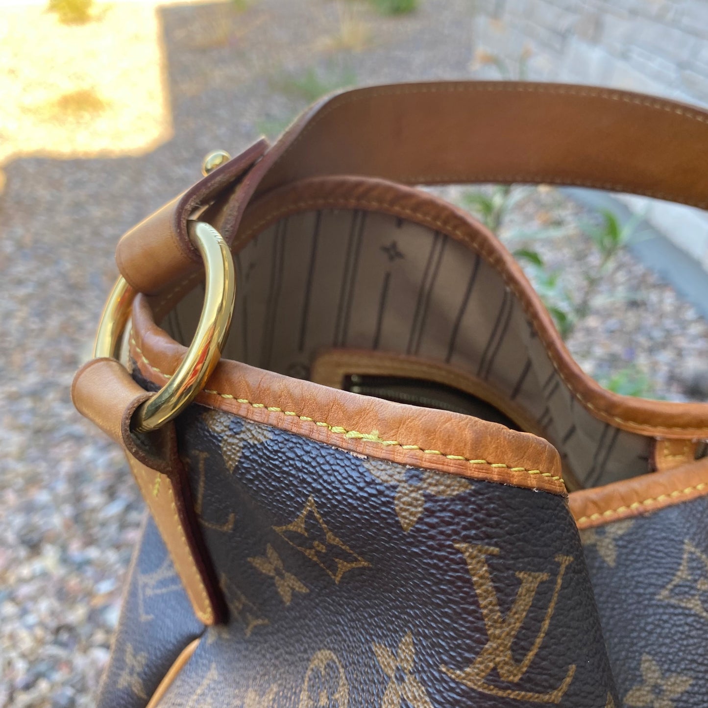 Louis Vuitton Monogram Delightful GM Hobo