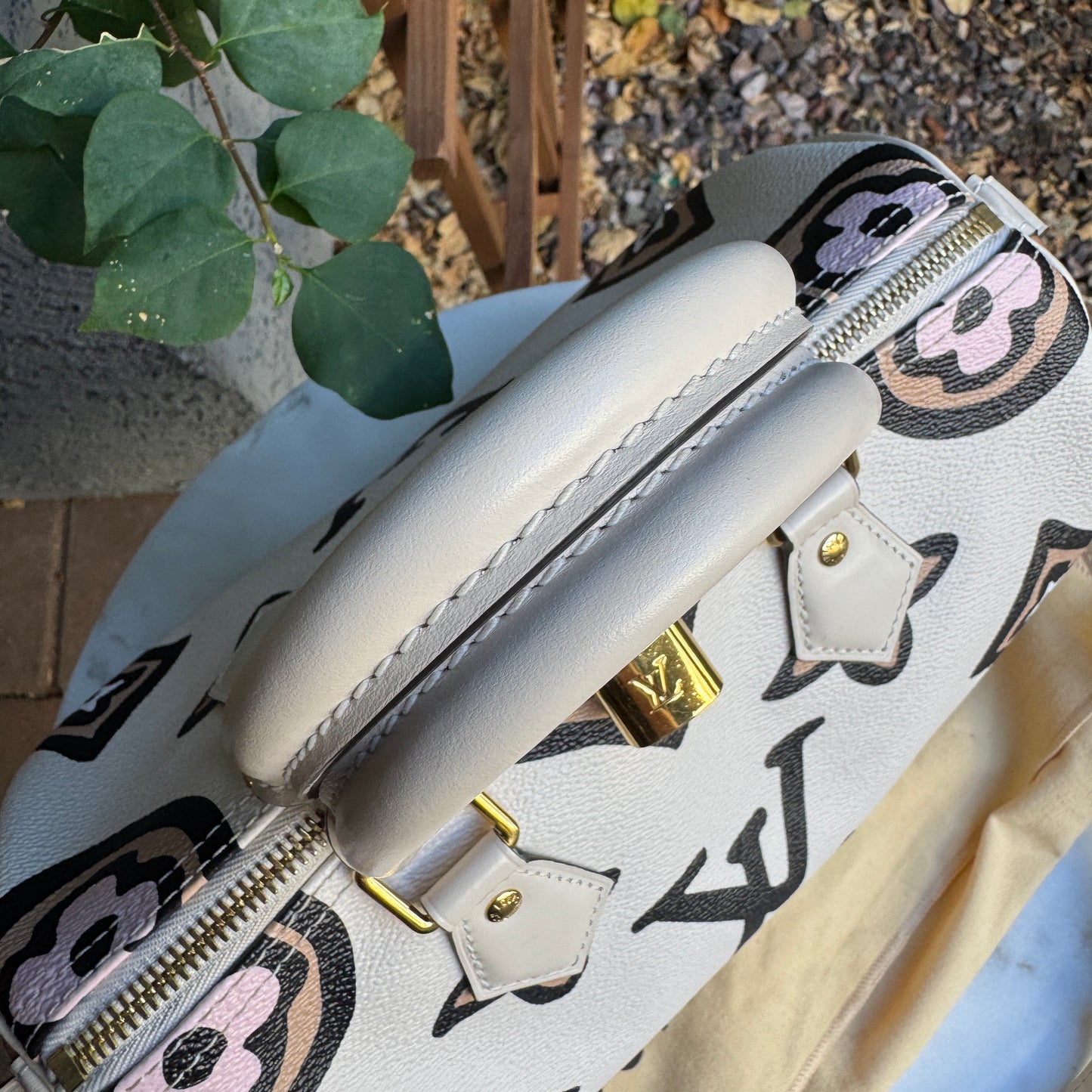 Louis Vuitton Wild at Heart Speedy Bandoulière 25