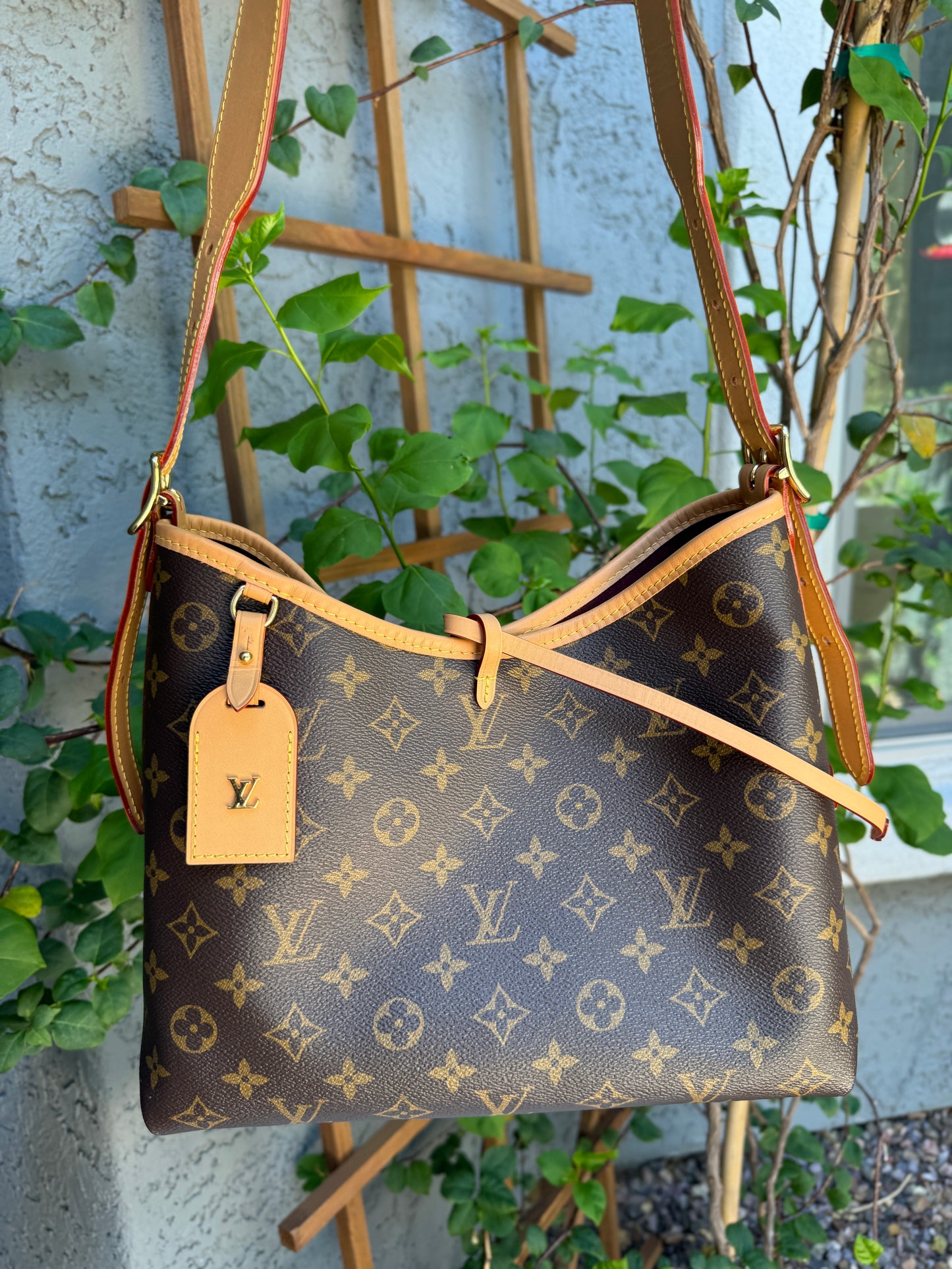 Louis Vuitton Monogram CarryAll PM