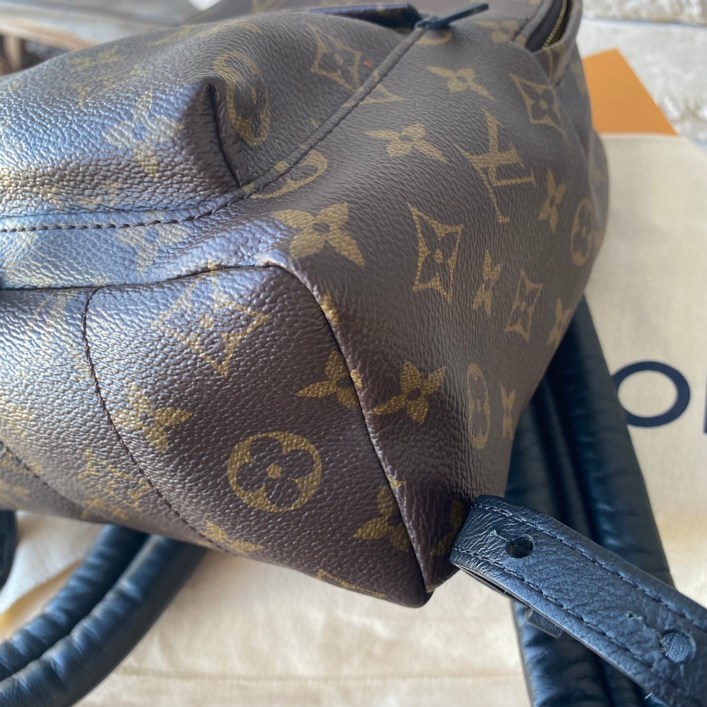 Louis Vuitton Monogram Palm Springs PM Backpack