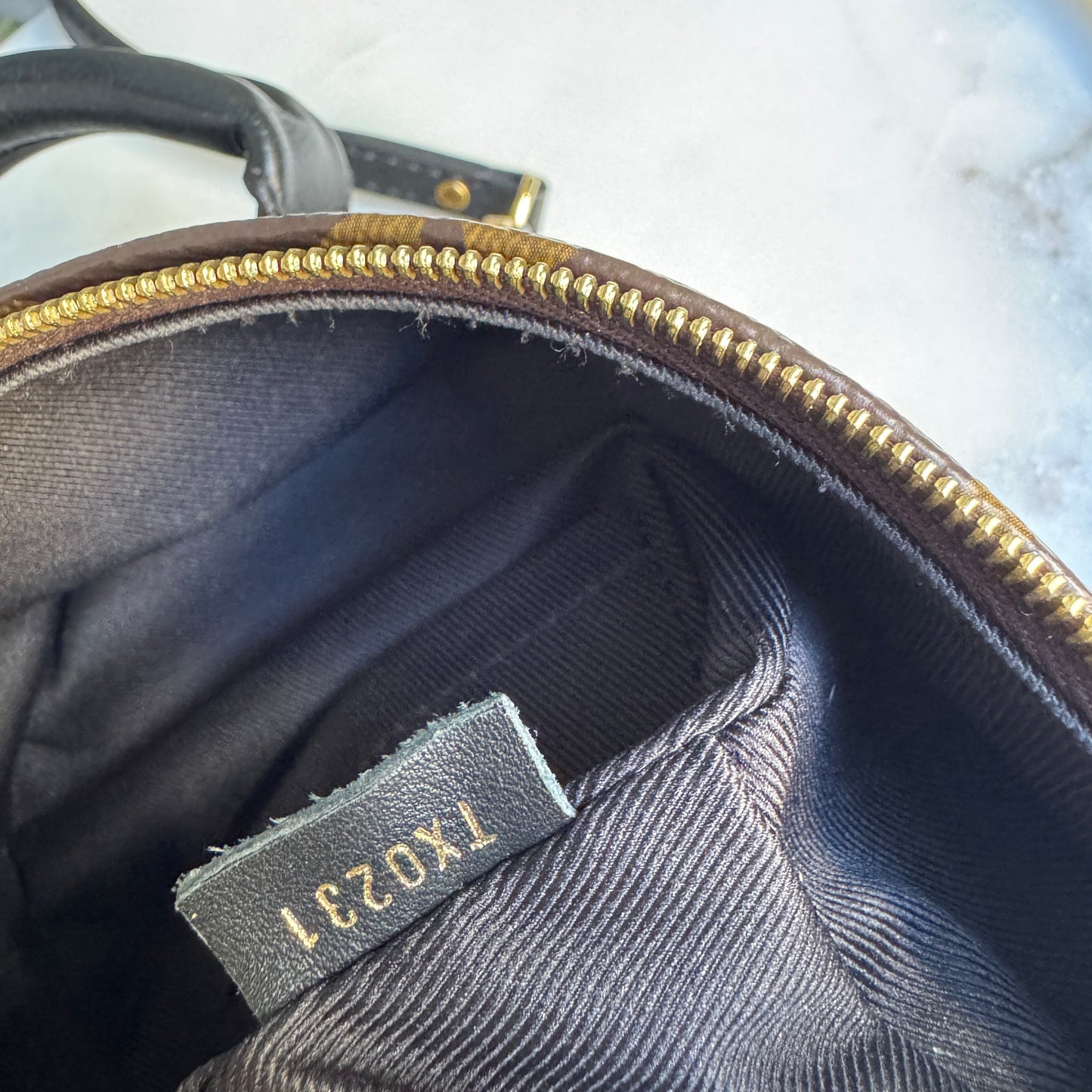 Louis Vuitton Monogram Mini Palm Springs Backpack