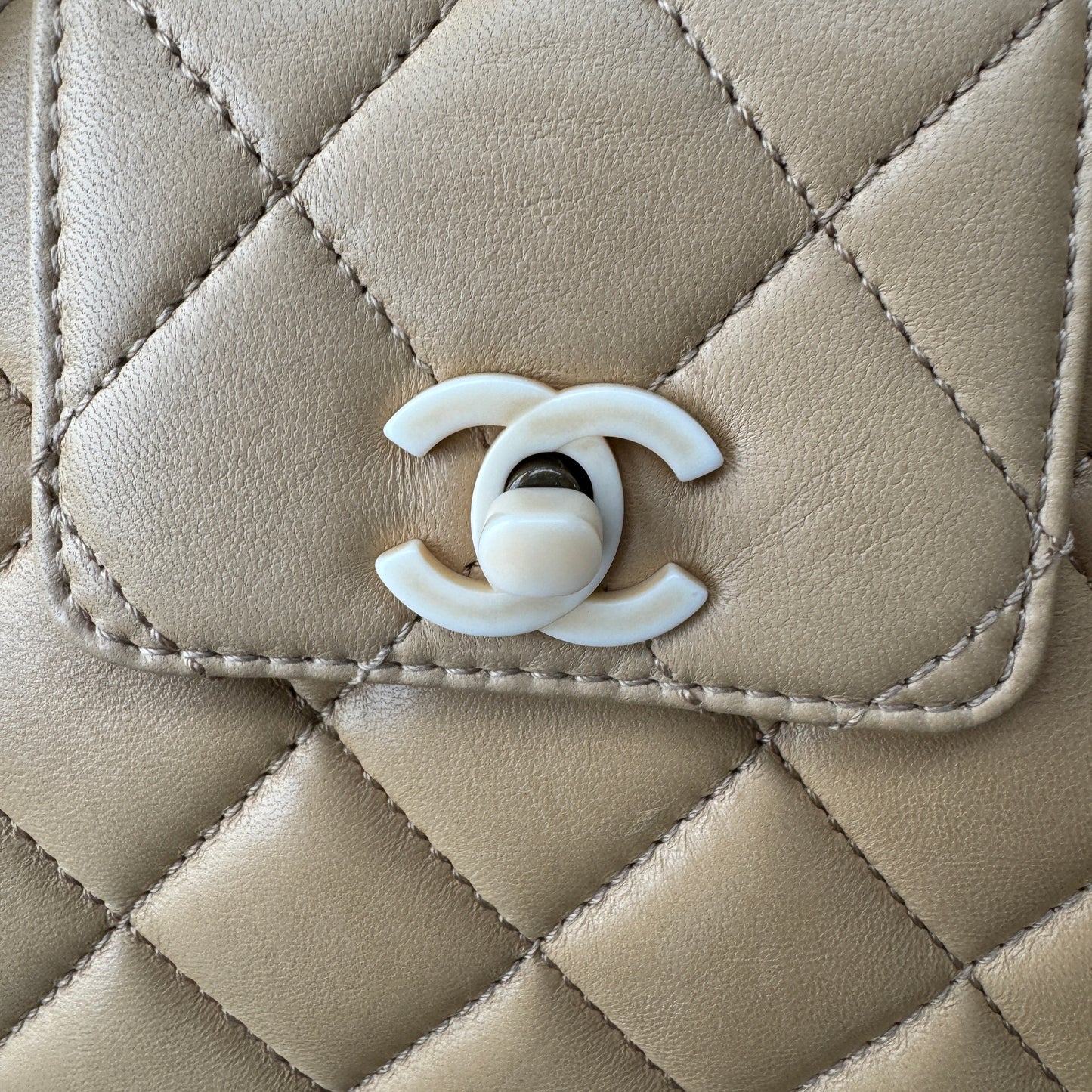 Chanel Vintage Quilted Lambskin and Resin Chain Shoulder Bag