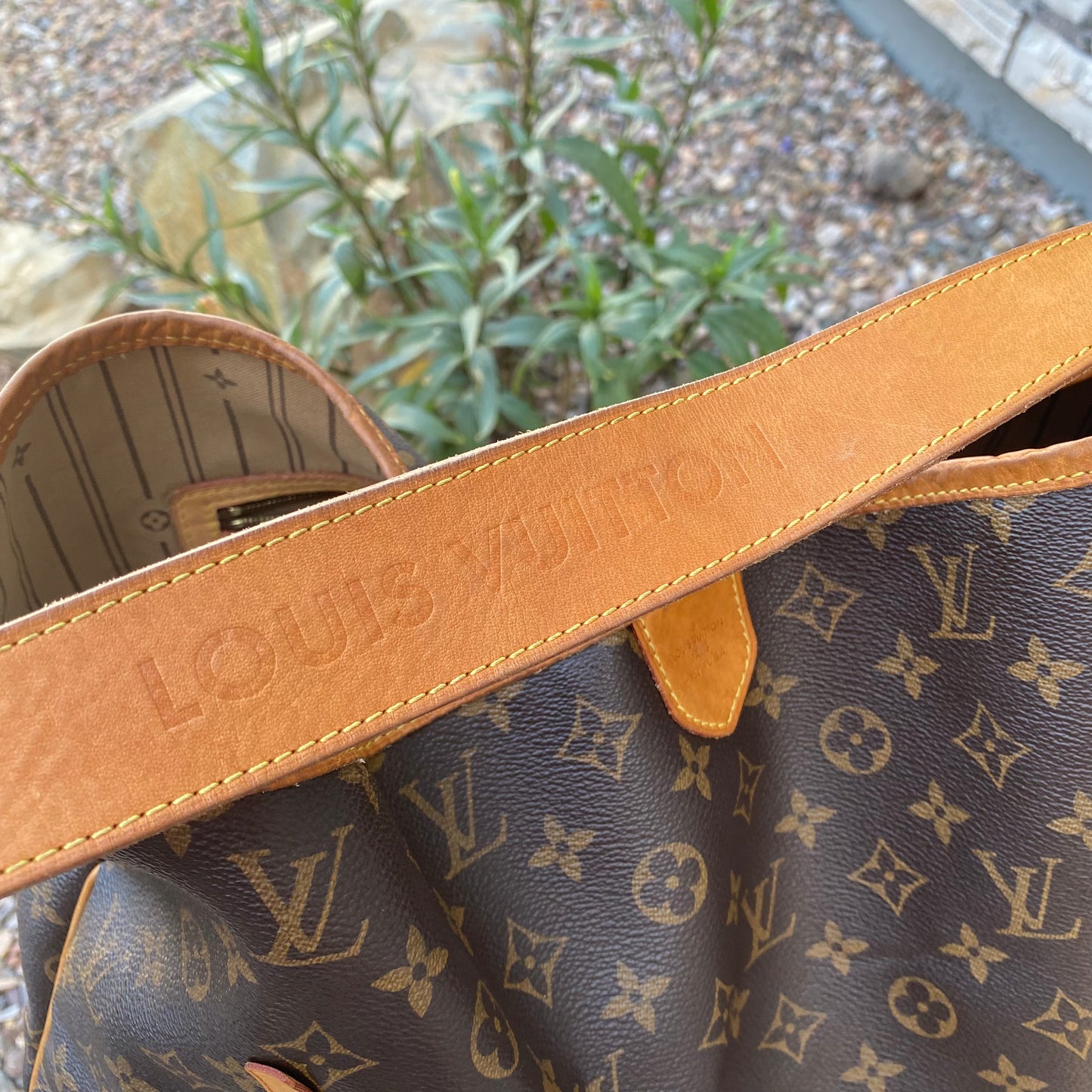 Louis Vuitton Monogram Delightful GM Hobo