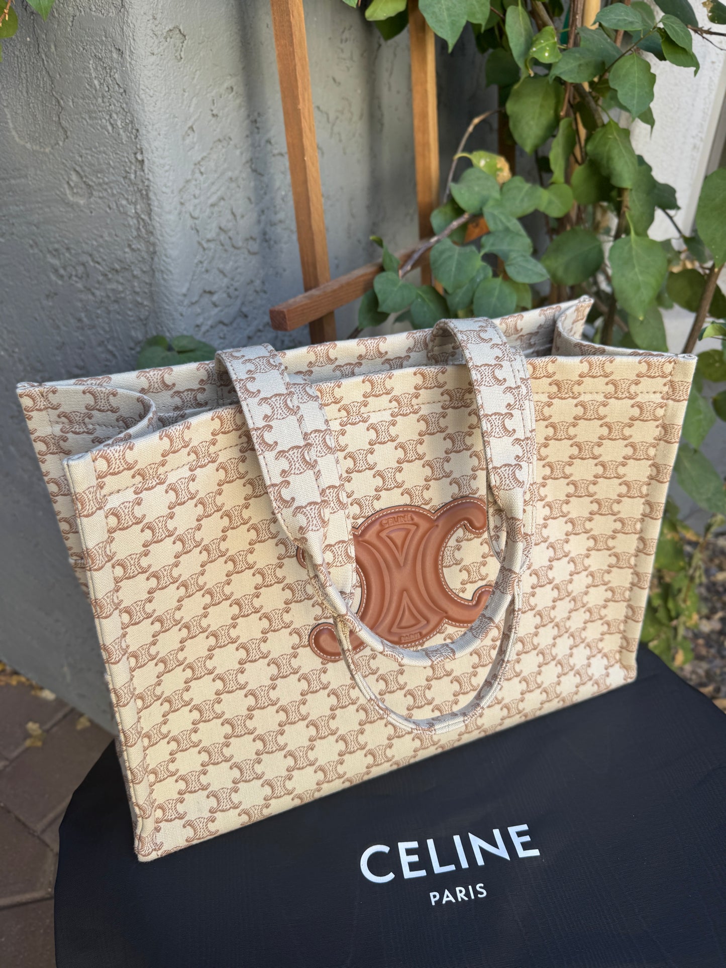 Celine Large Cabas Thais Triomphe Canvas Print Tote