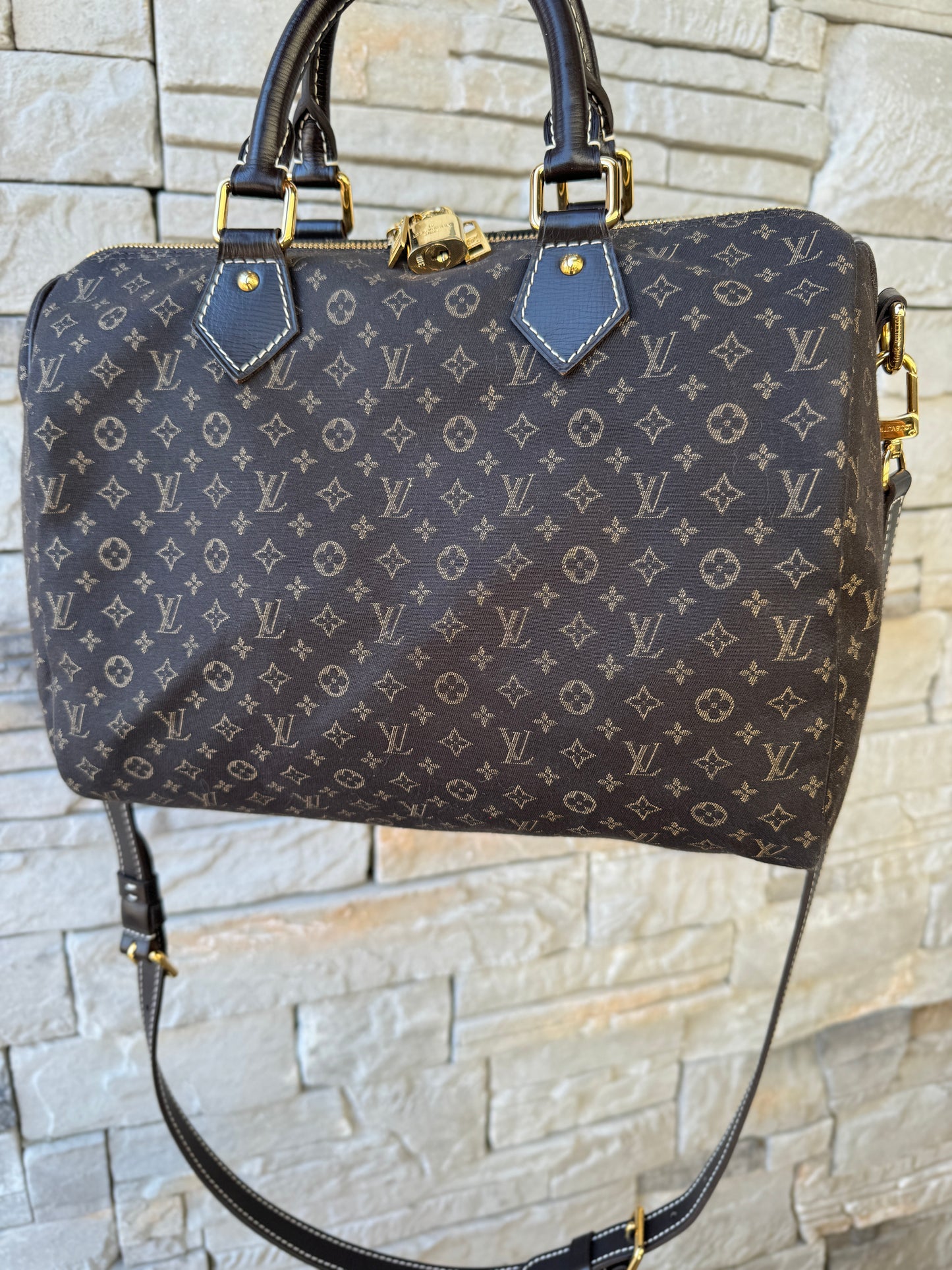 Louis Vuitton Monogram Mini Lin Speedy Bandouliere 30