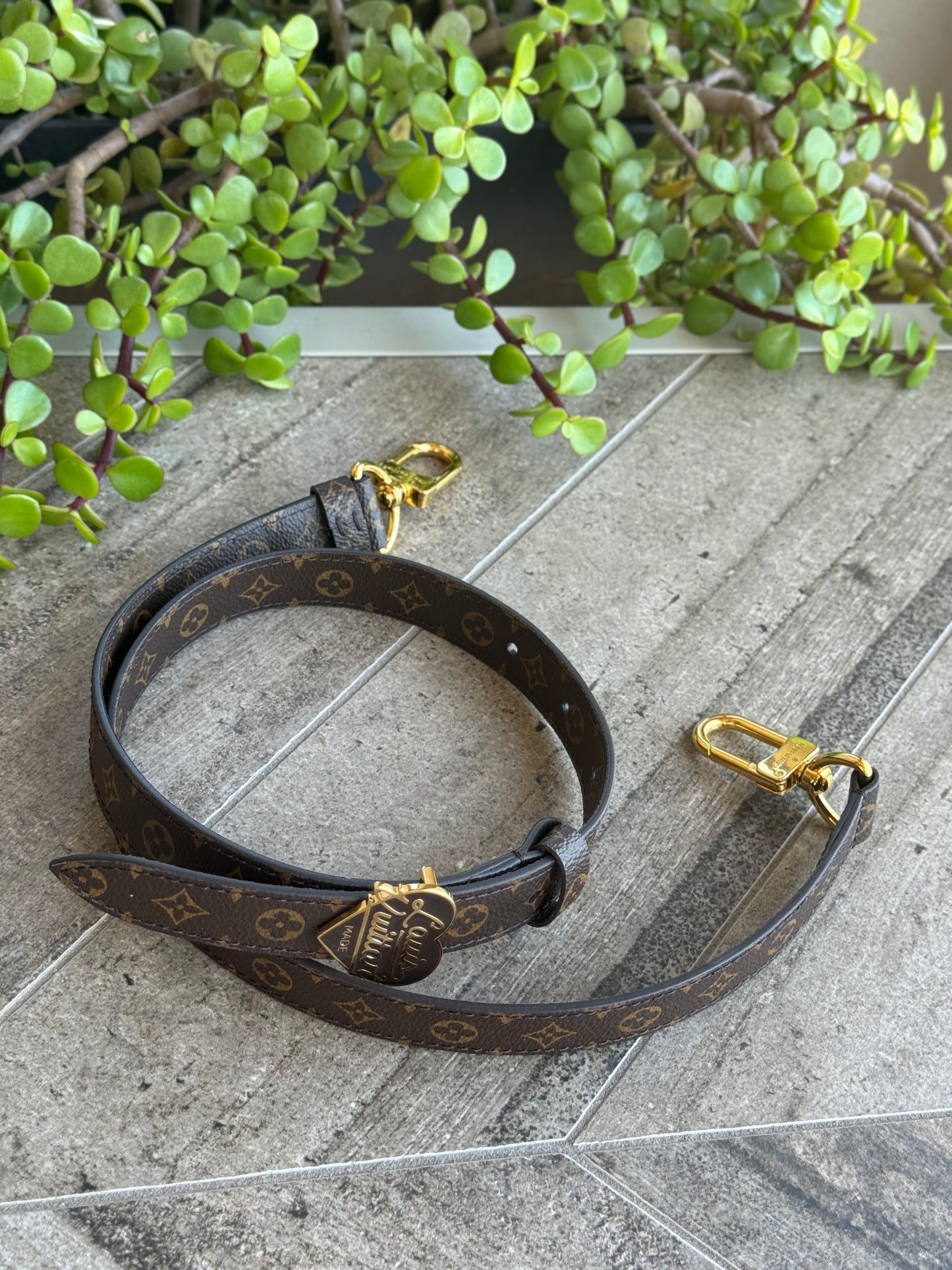 Louis Vuitton x Nigo Monogram Canvas Shoulder Strap