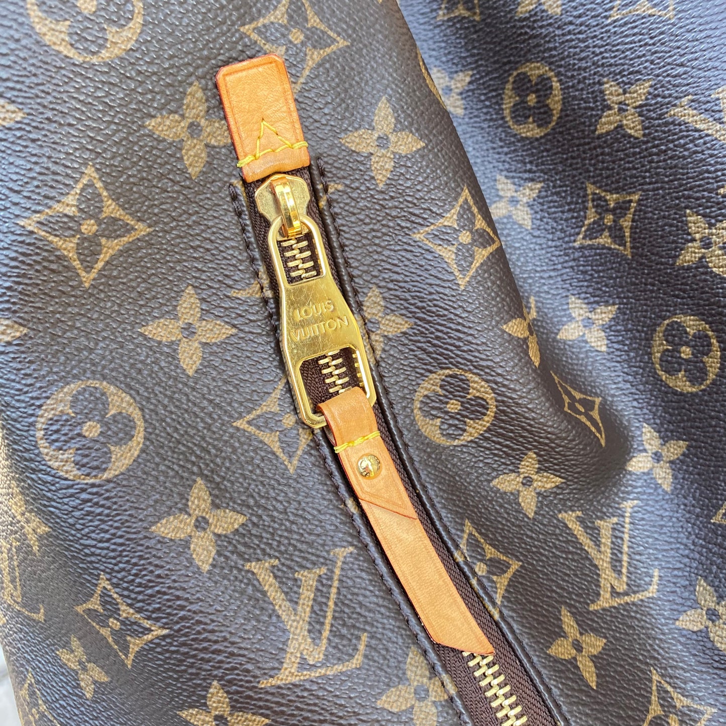 Louis Vuitton Monogram Delightful GM Hobo