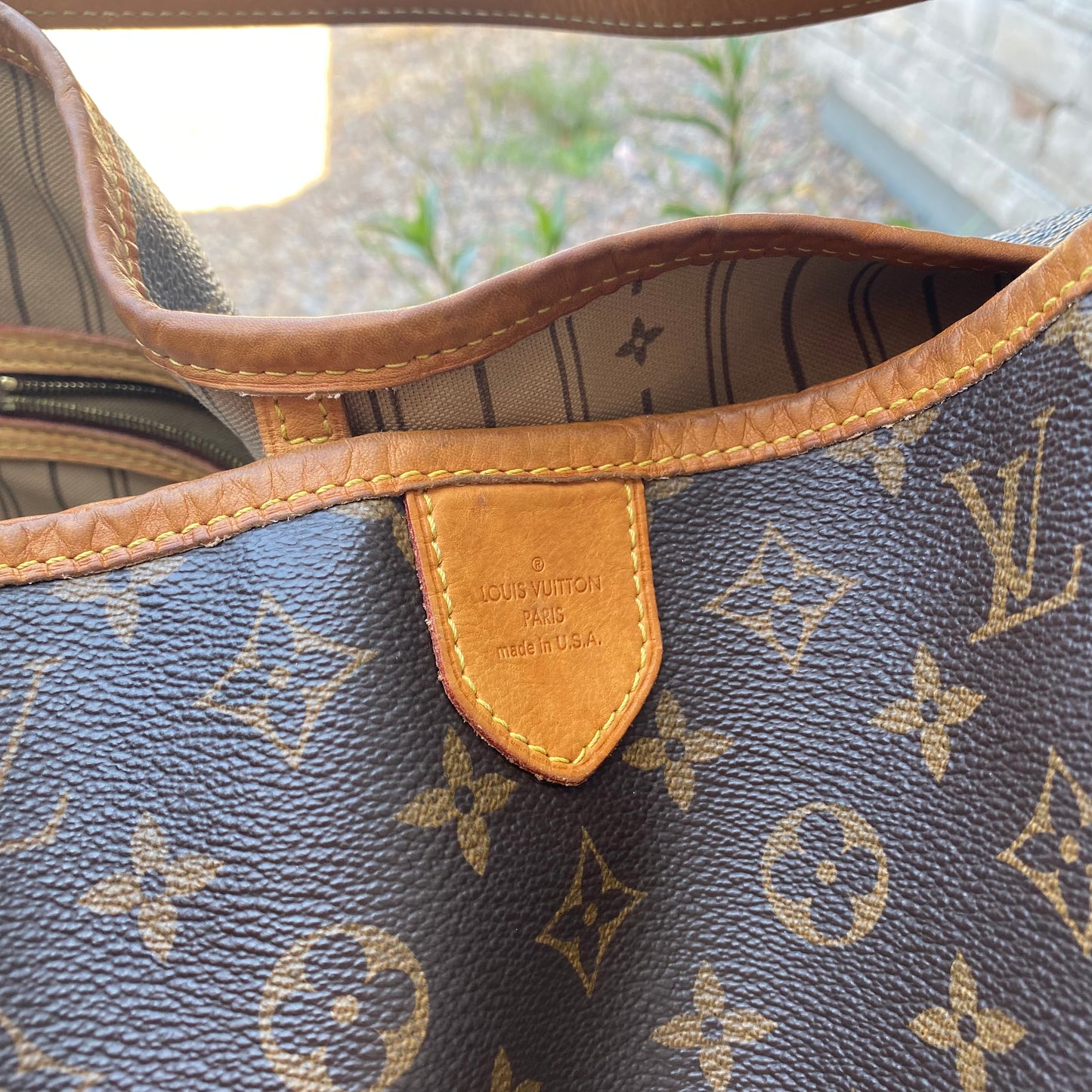 Louis Vuitton Monogram Delightful GM Hobo