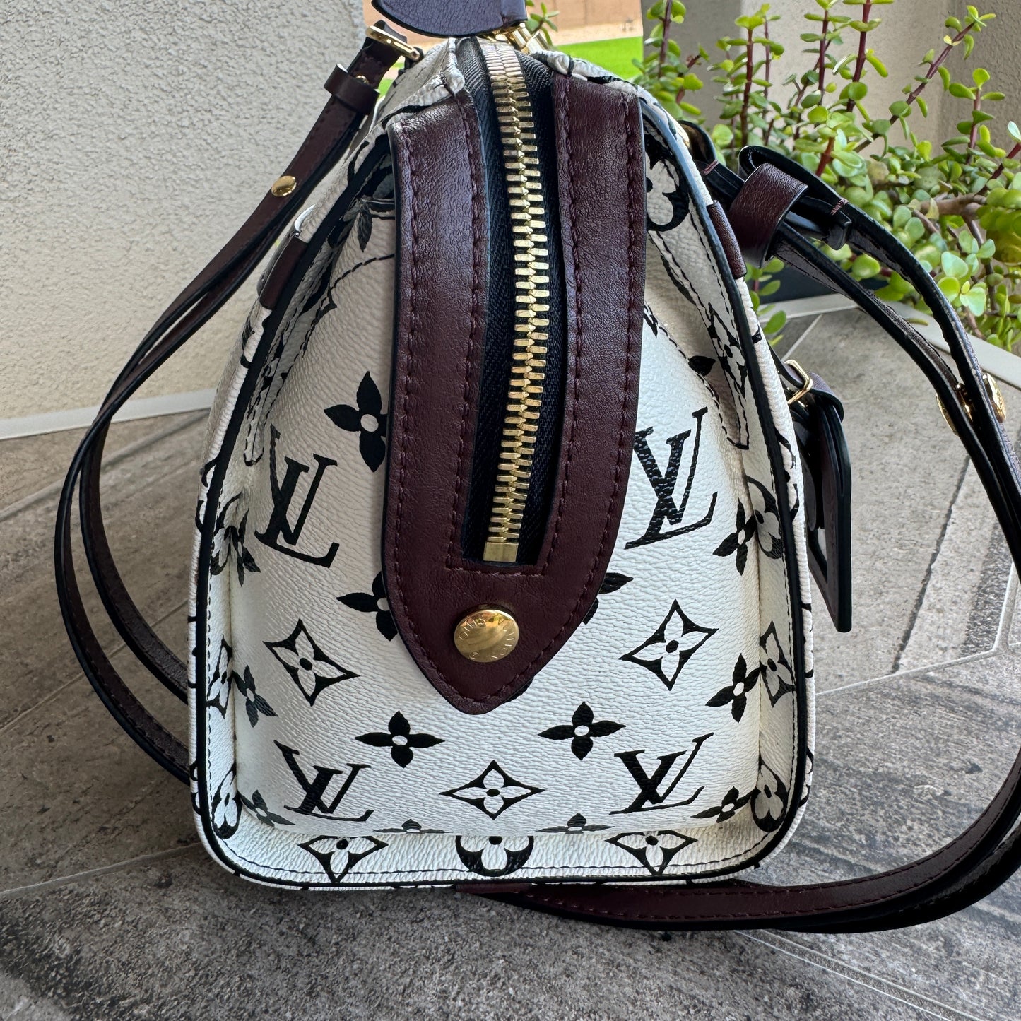 Louis Vuitton Monogram Speedy Amazon PM