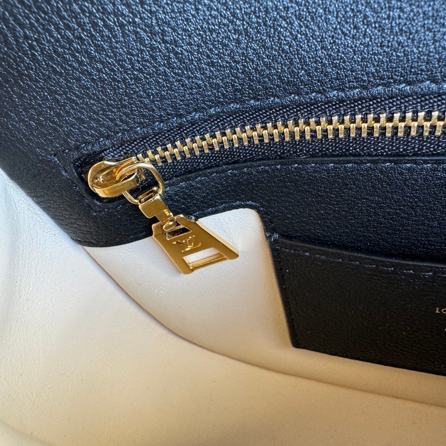 Louis Vuitton Shearling Pont 9 Soft PM