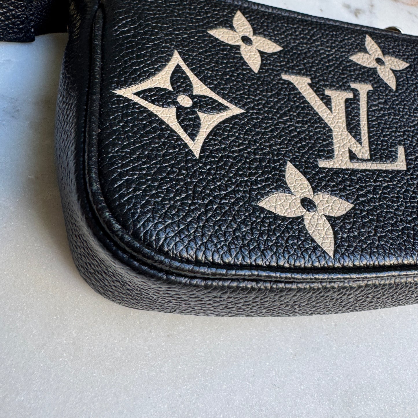 Louis Vuitton Monogram Empreinte Giant Bicolor Mini Pochette Accessoires