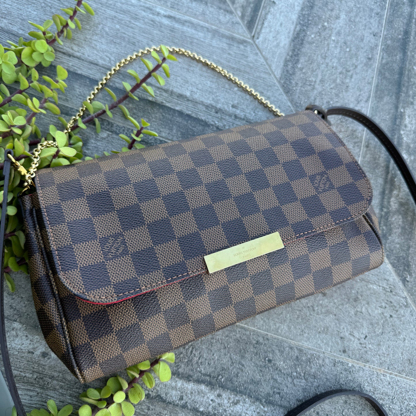 Louis Vuitton Damier Ebene Favorite MM Crossbody