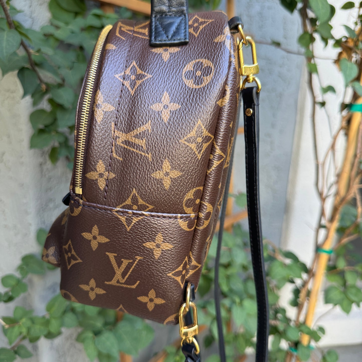 Louis Vuitton Monogram Mini Palm Springs Backpack
