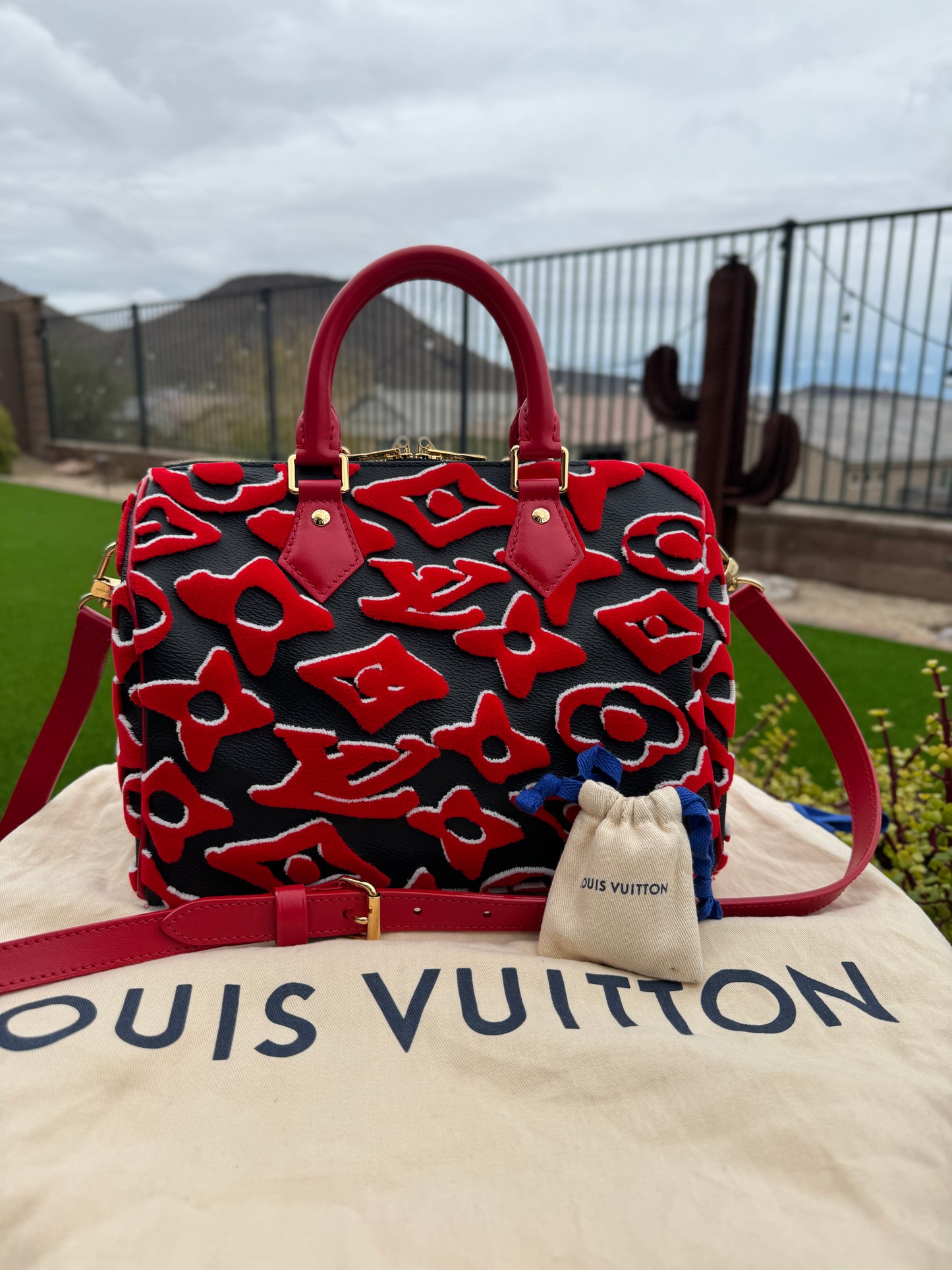 Louis Vuitton x Urs Fischer Speedy Bandoulière 25