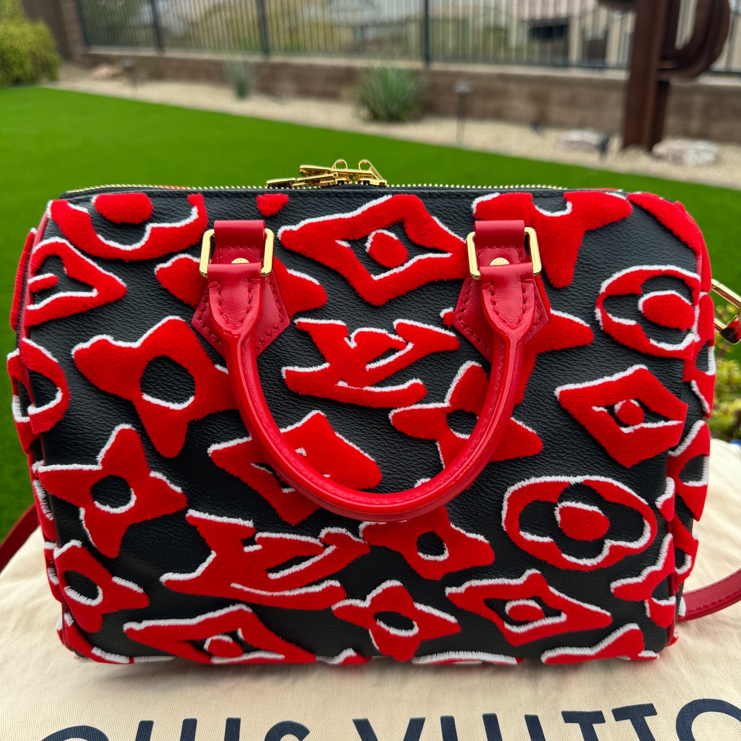 Louis Vuitton x Urs Fischer Speedy Bandoulière 25