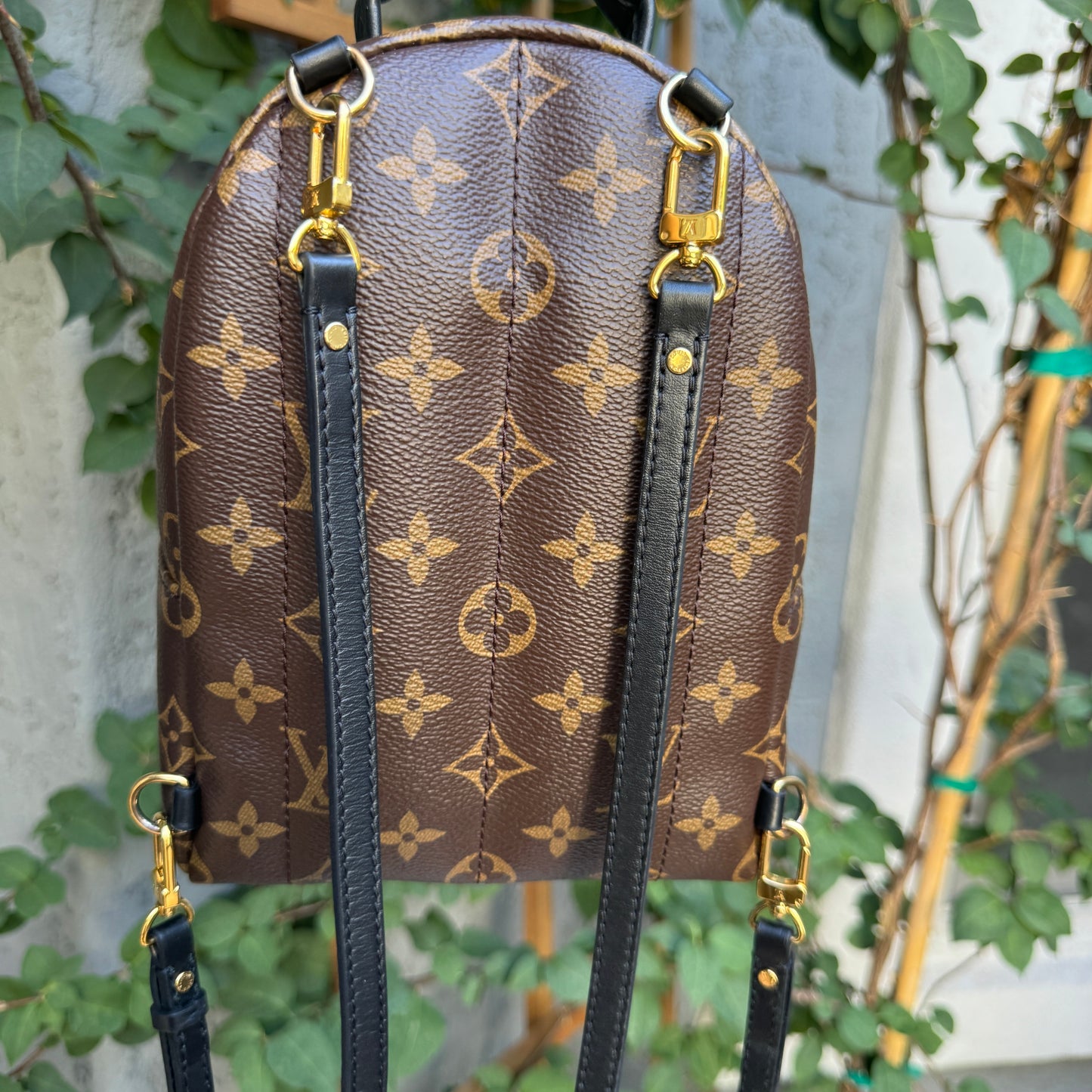 Louis Vuitton Monogram Mini Palm Springs Backpack