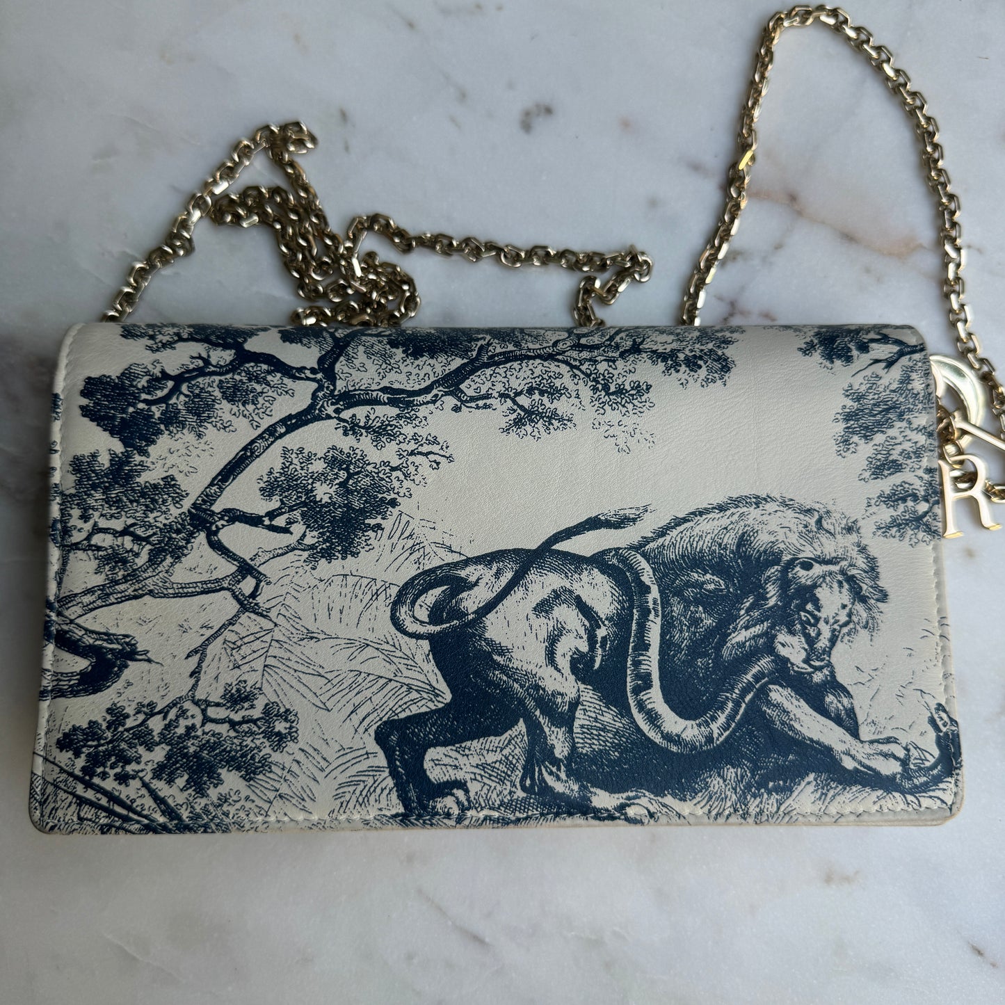 Christian Dior Toile De Jouy Chain Crossbody