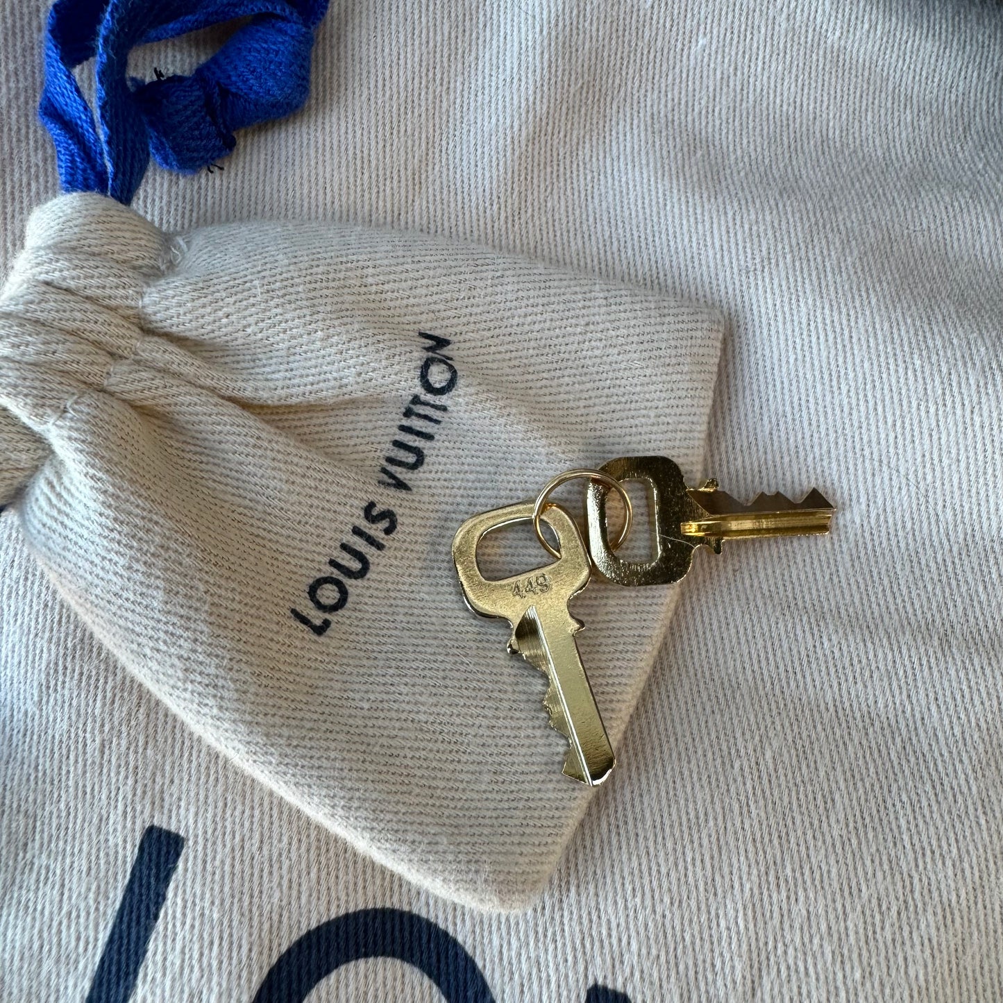 Louis Vuitton Iena PM Damier Ebene Tote