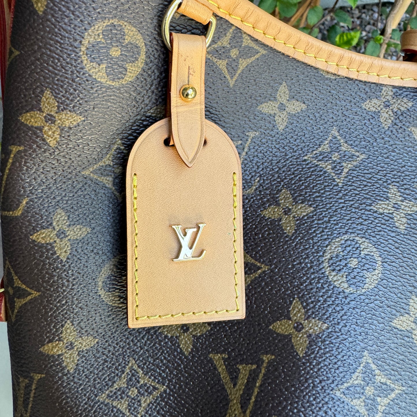 Louis Vuitton Monogram CarryAll PM