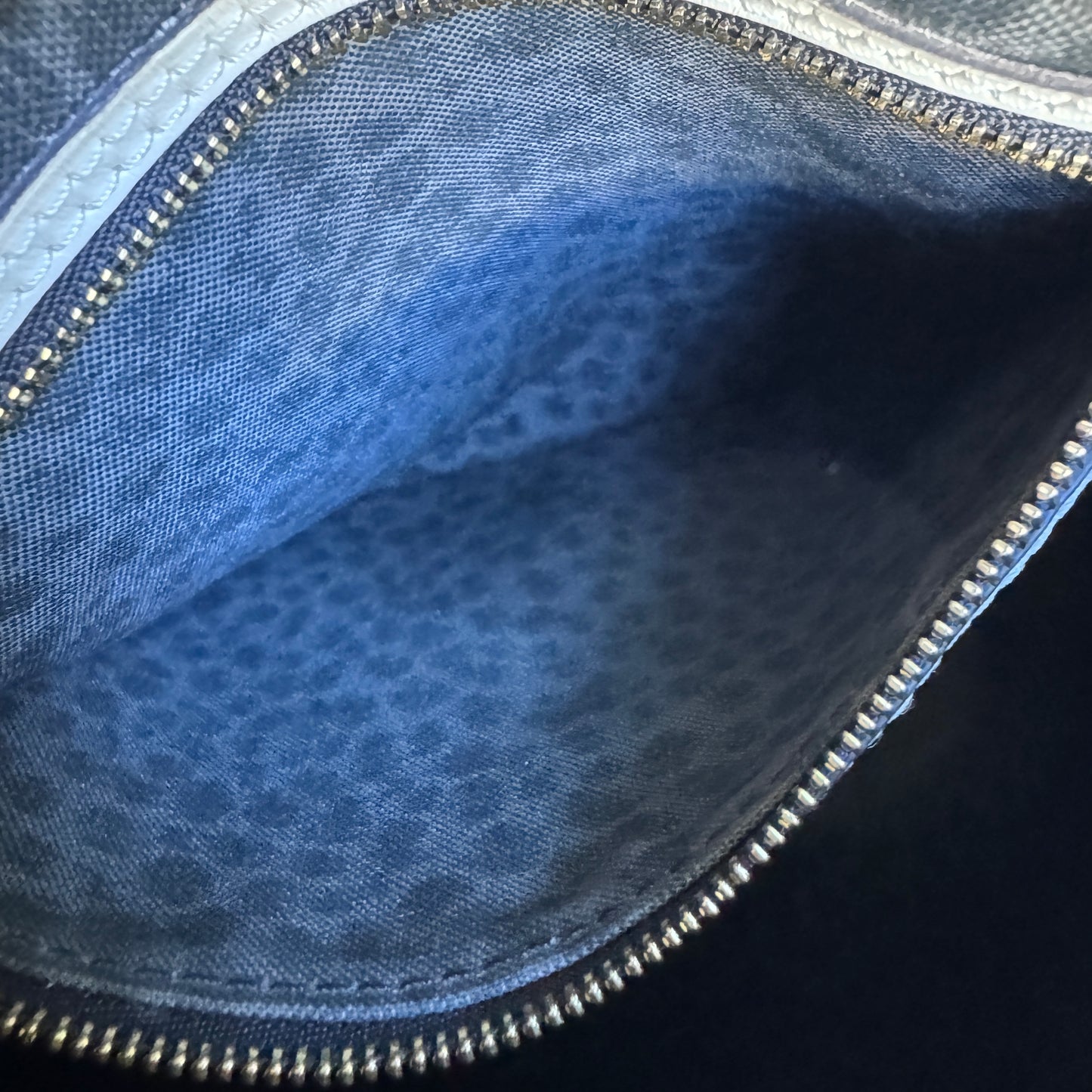 Louis Vuitton Wild at Heart Speedy Bandoulière 25