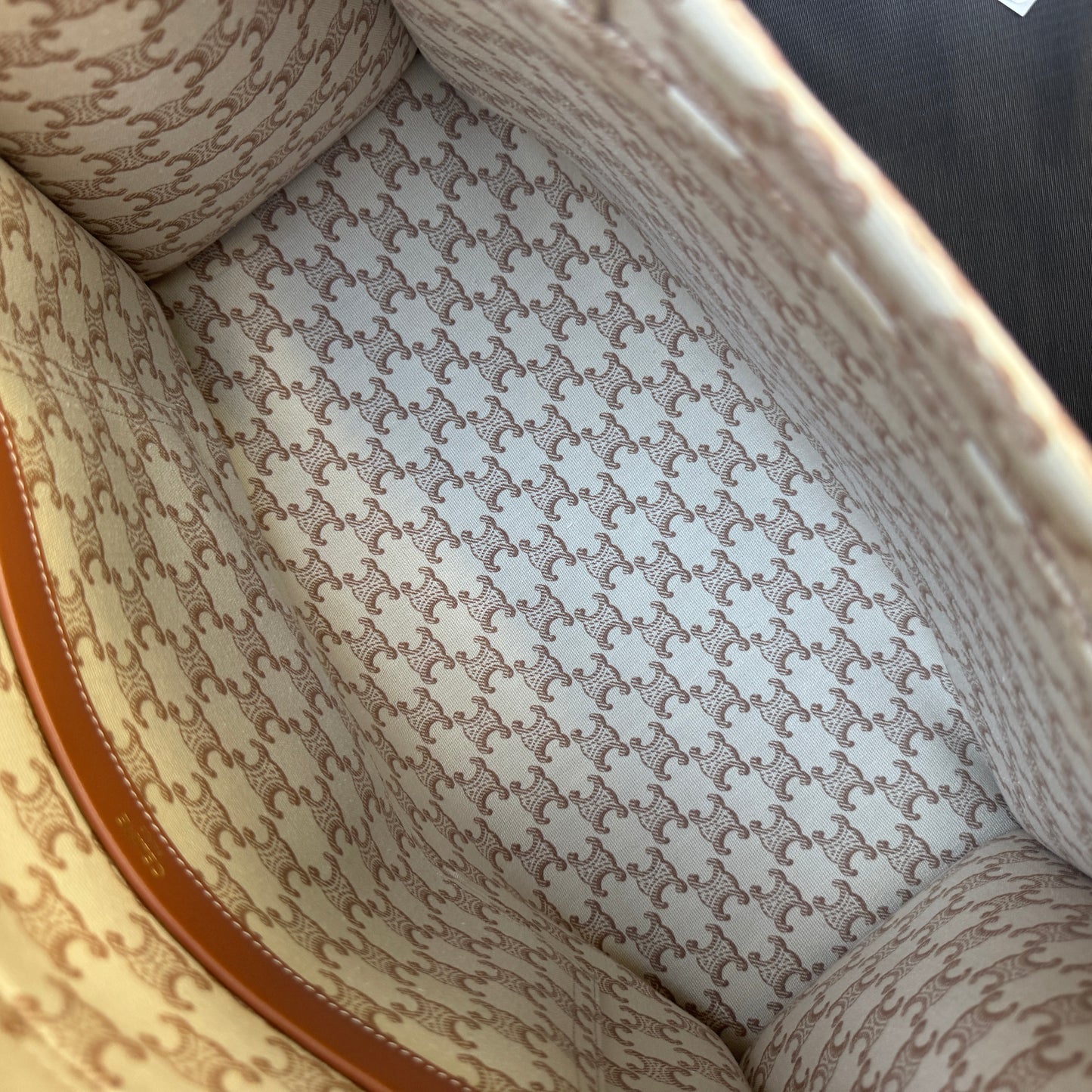 Celine Large Cabas Thais Triomphe Canvas Print Tote