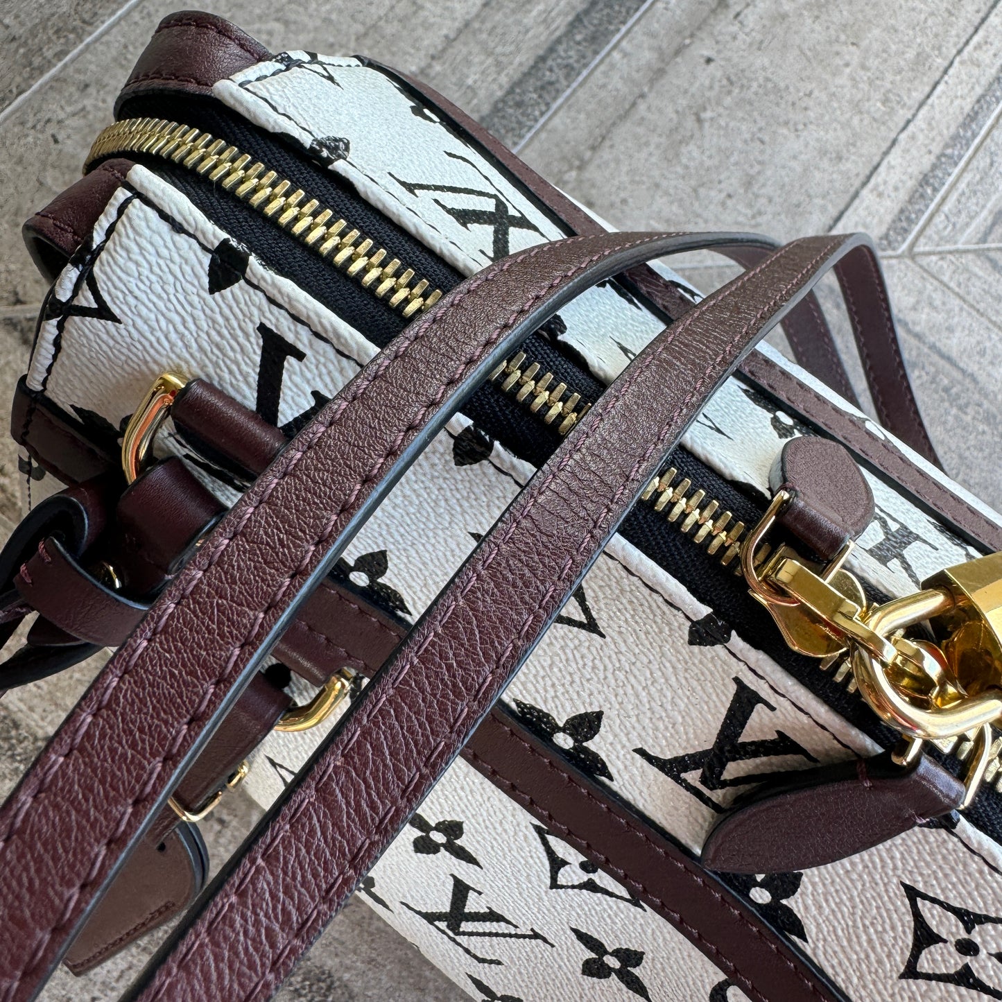 Louis Vuitton Monogram Speedy Amazon PM