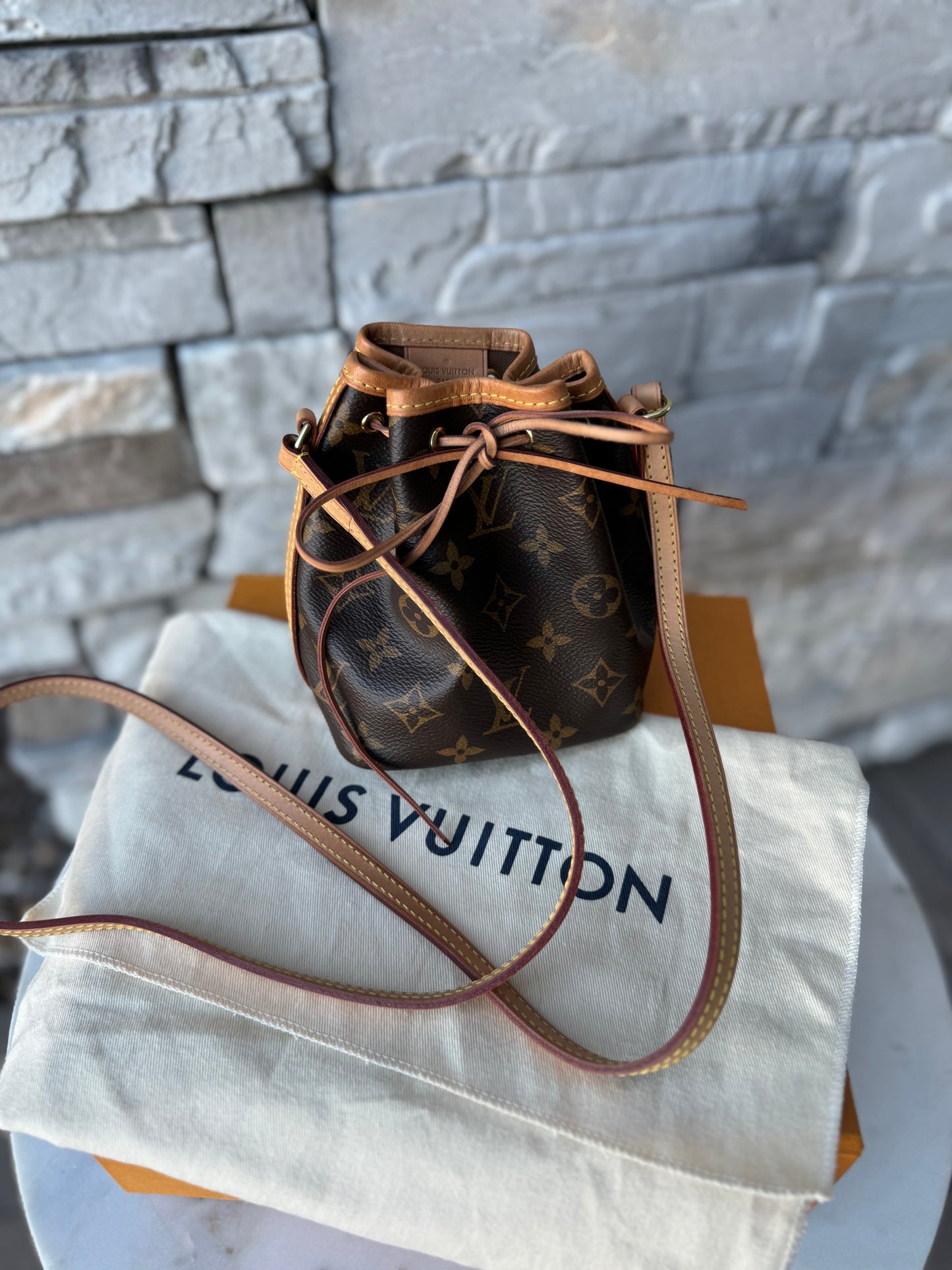 Louis Vuitton Monogram Nano Noe Bucket Bag