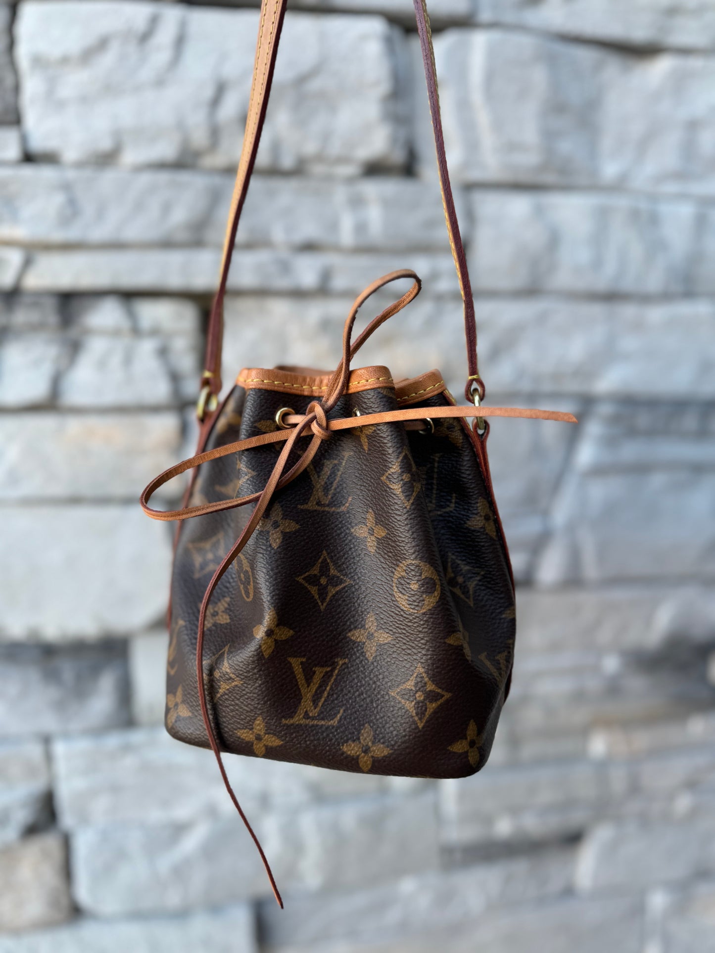 Louis Vuitton Monogram Nano Noe Bucket Bag