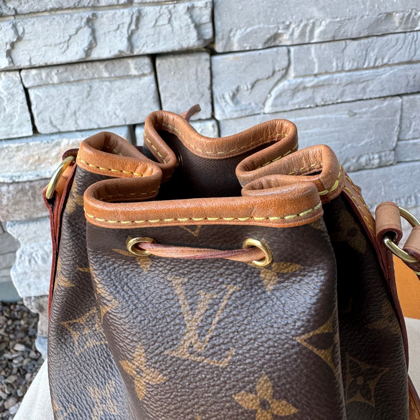Louis Vuitton Monogram Nano Noe Bucket Bag
