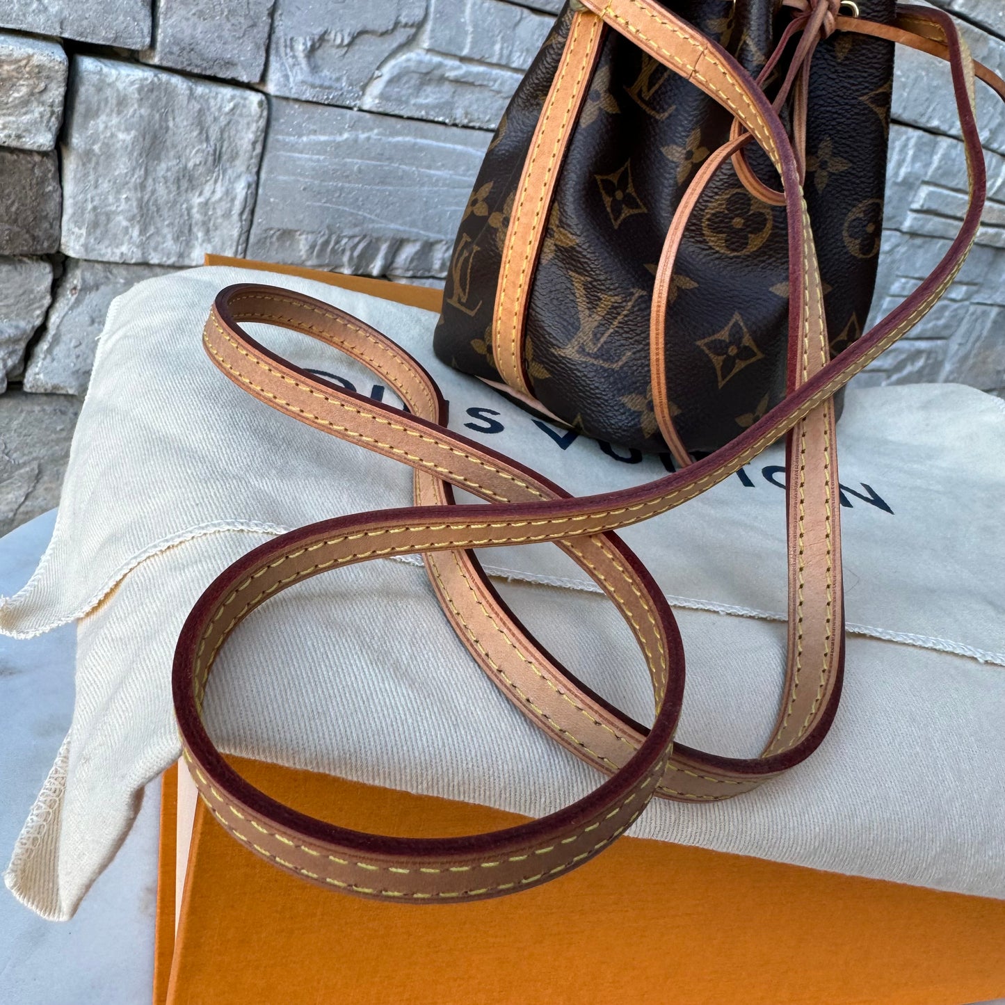 Louis Vuitton Monogram Nano Noe Bucket Bag