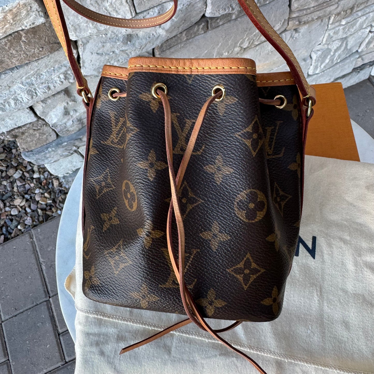 Louis Vuitton Monogram Nano Noe Bucket Bag