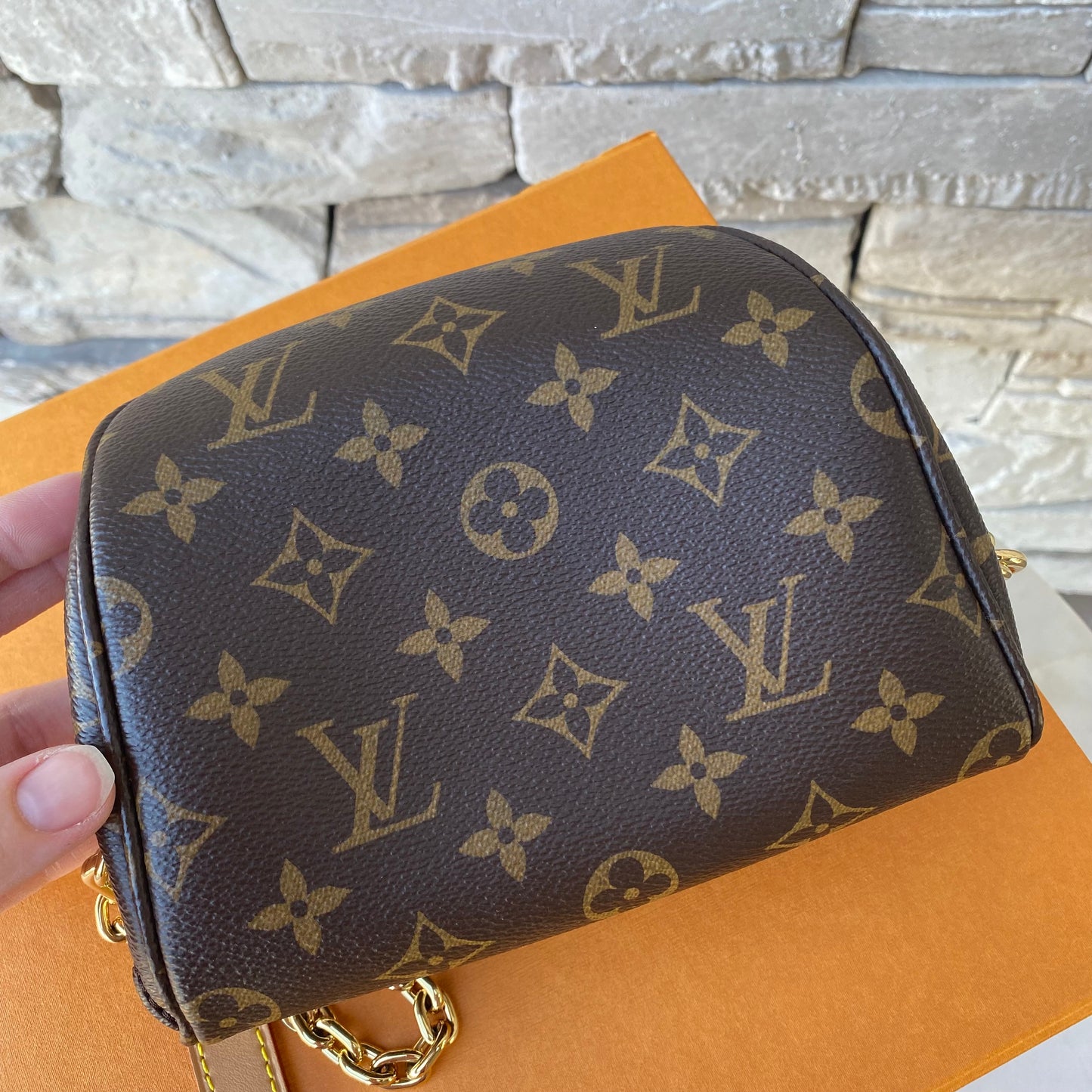 Louis Vuitton Monogram Mini Bumbag NM