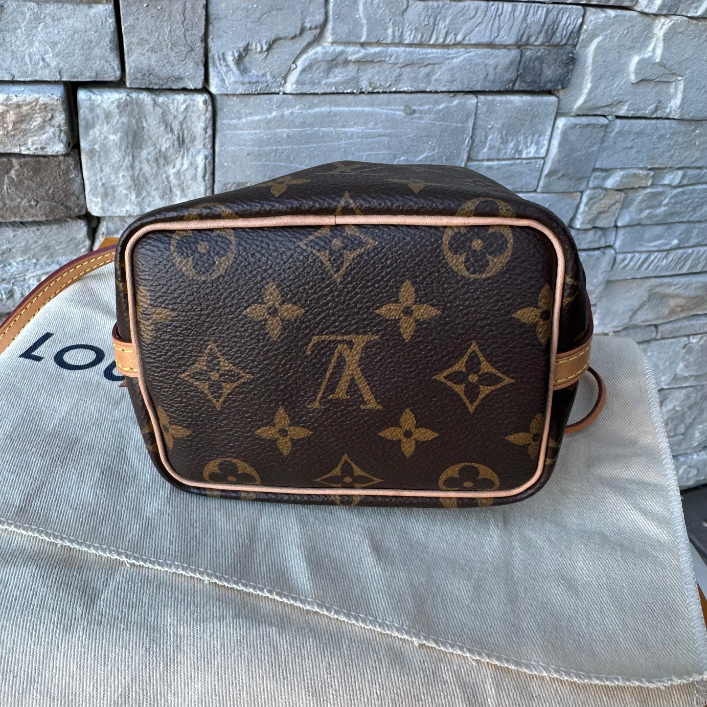 Louis Vuitton Monogram Nano Noe Bucket Bag