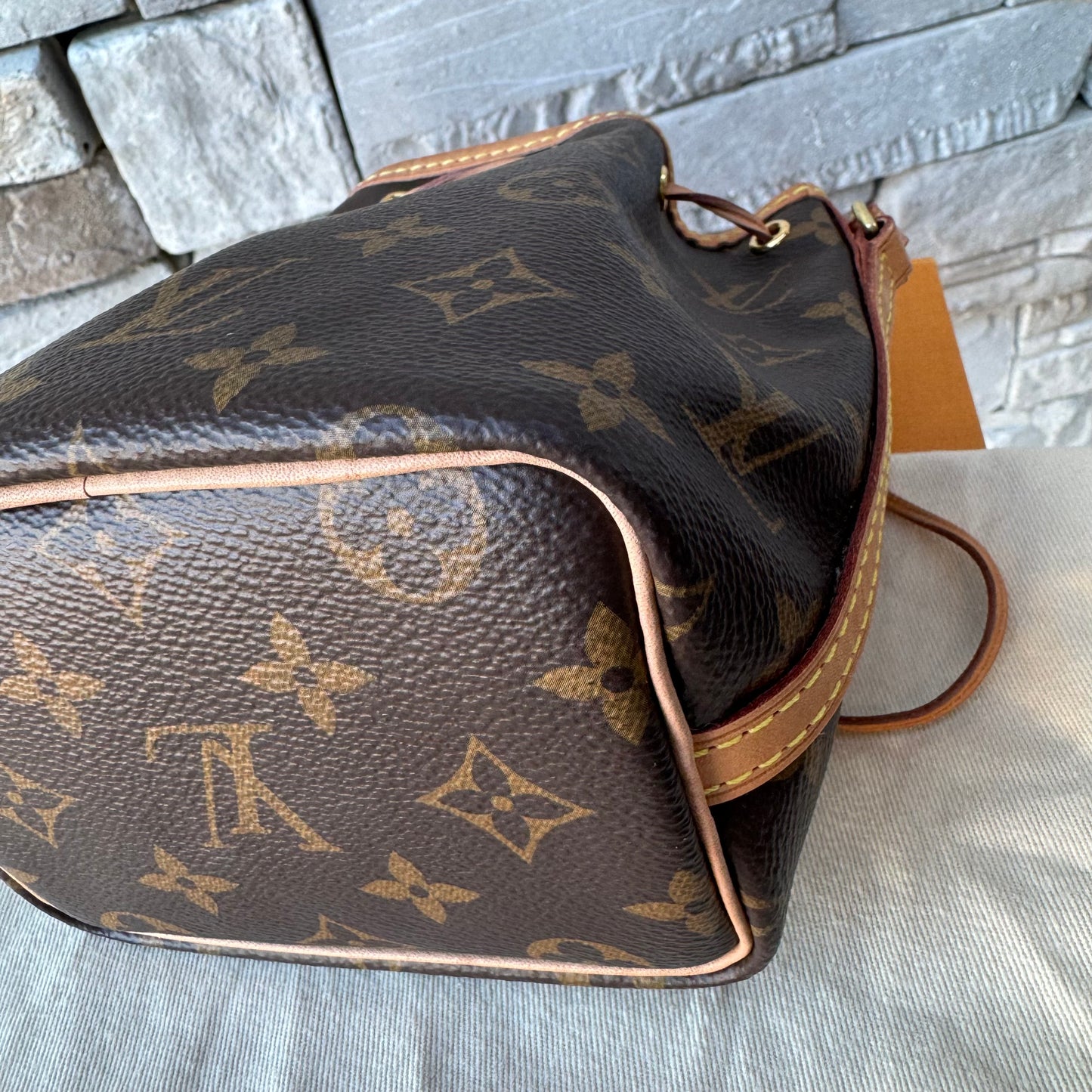 Louis Vuitton Monogram Nano Noe Bucket Bag