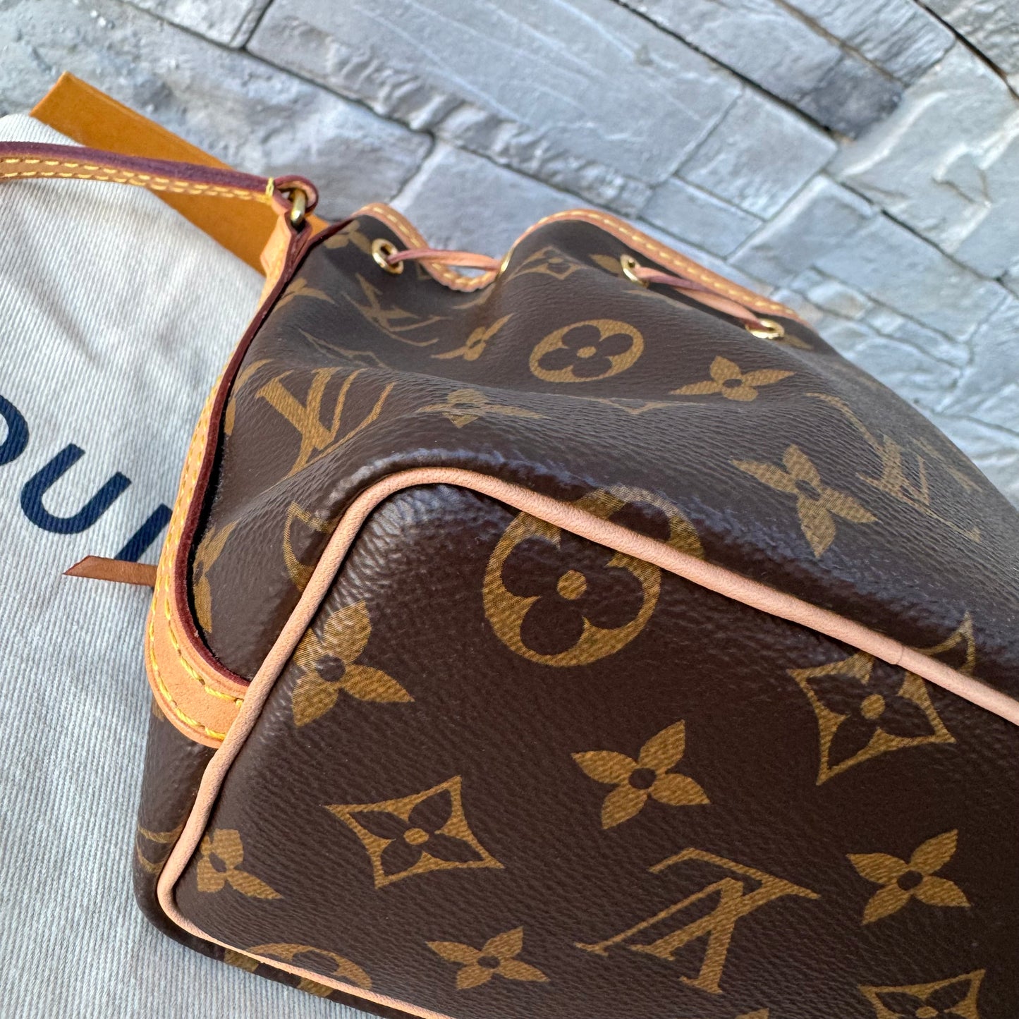 Louis Vuitton Monogram Nano Noe Bucket Bag