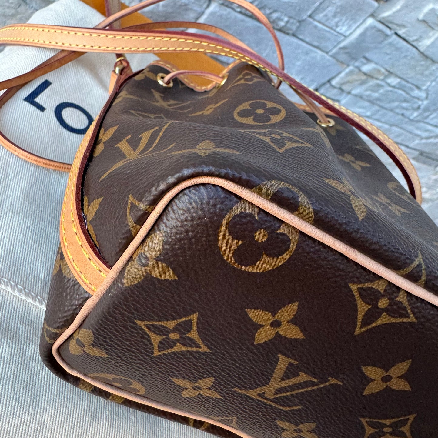 Louis Vuitton Monogram Nano Noe Bucket Bag