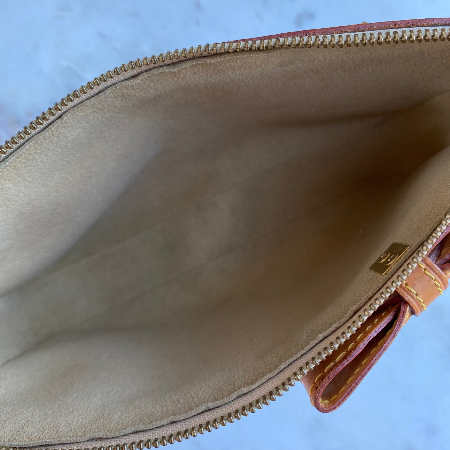 Louis Vuitton Murakami Vintage Cherry Blossom Pochette