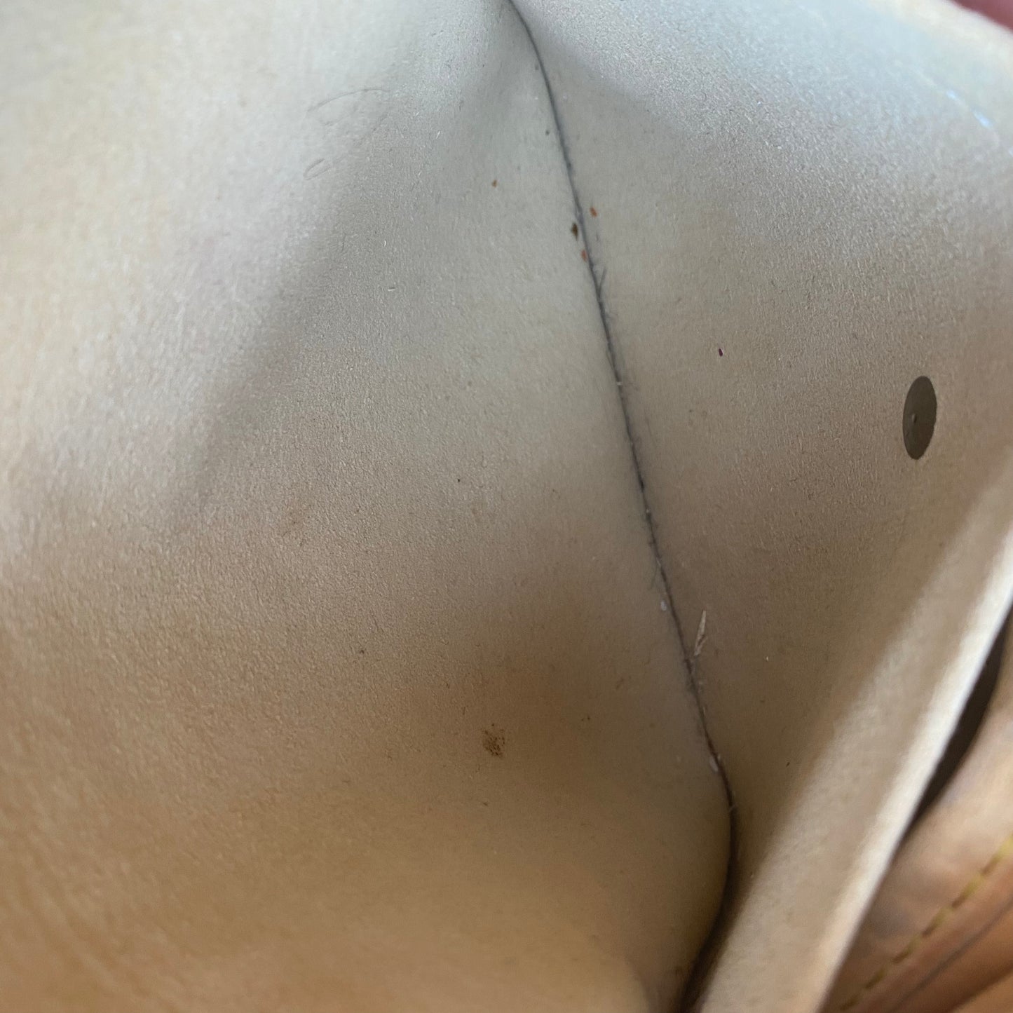 Louis Vuitton Galliera Monogram GM