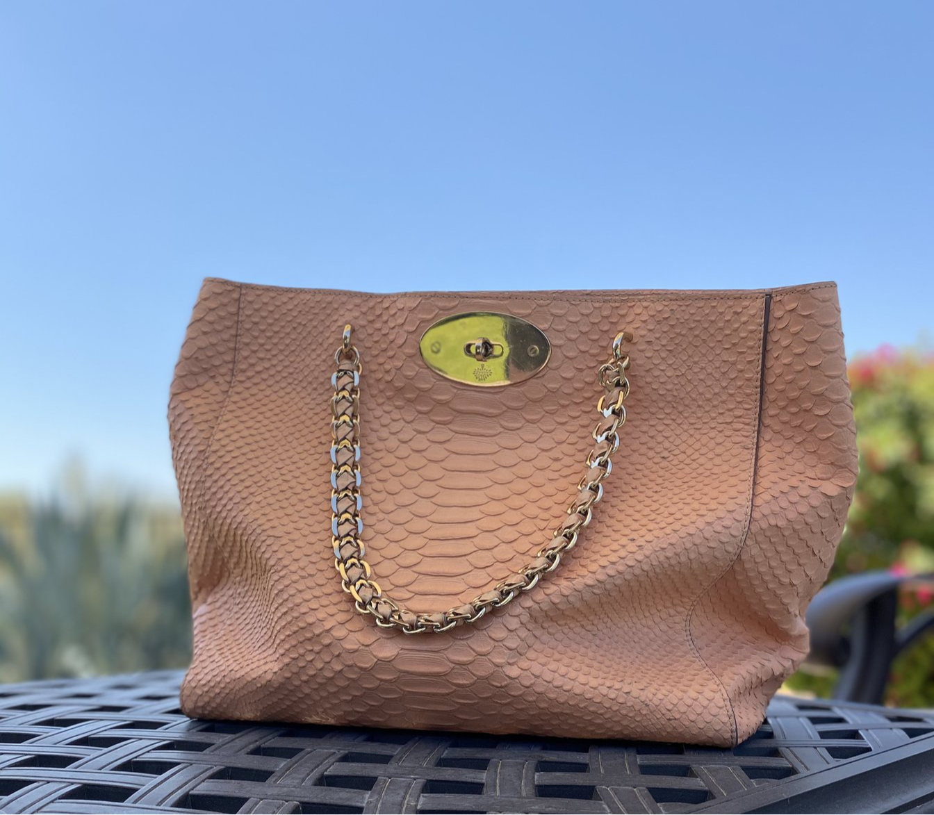 Mulberry Python Cecily Tote