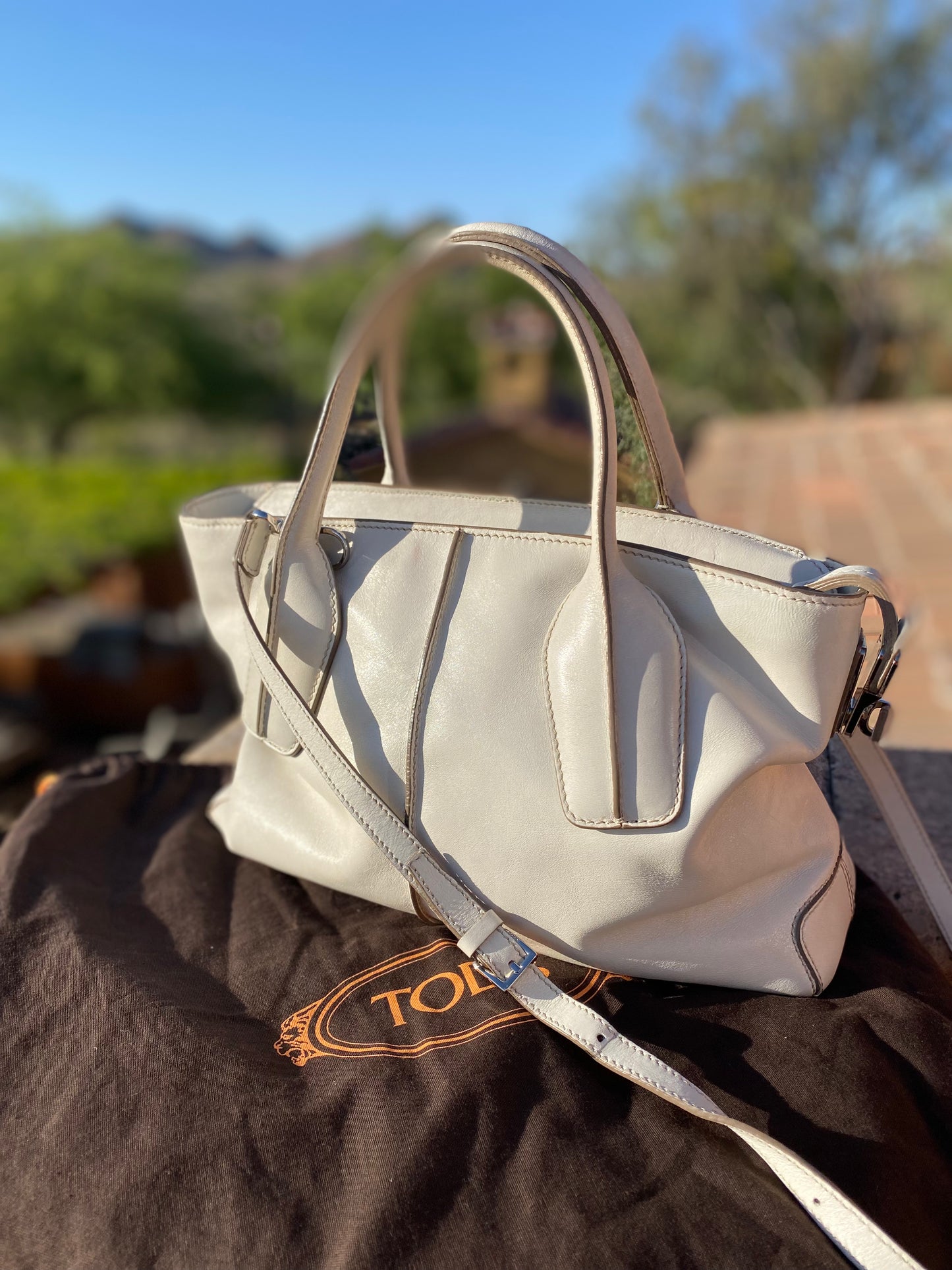 Tod's Leather D-Styling Tote