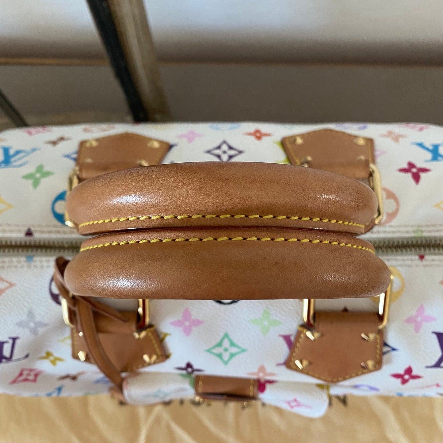 Louis Vuitton Speedy 30 Multicolor