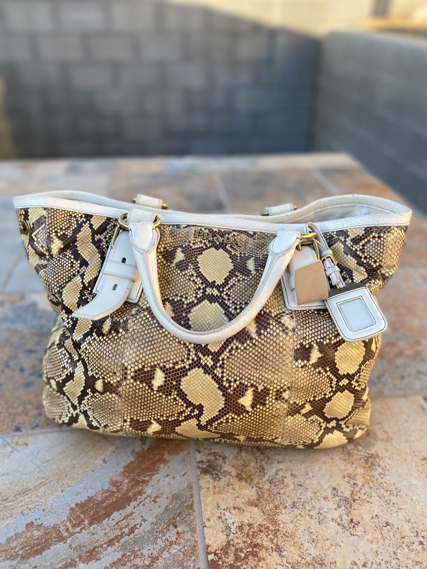 Prada Python Pitone Hobo Tote