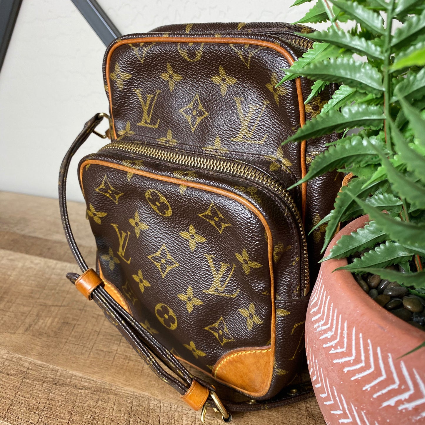 Louis Vuitton Monogram Amazone Crossbody