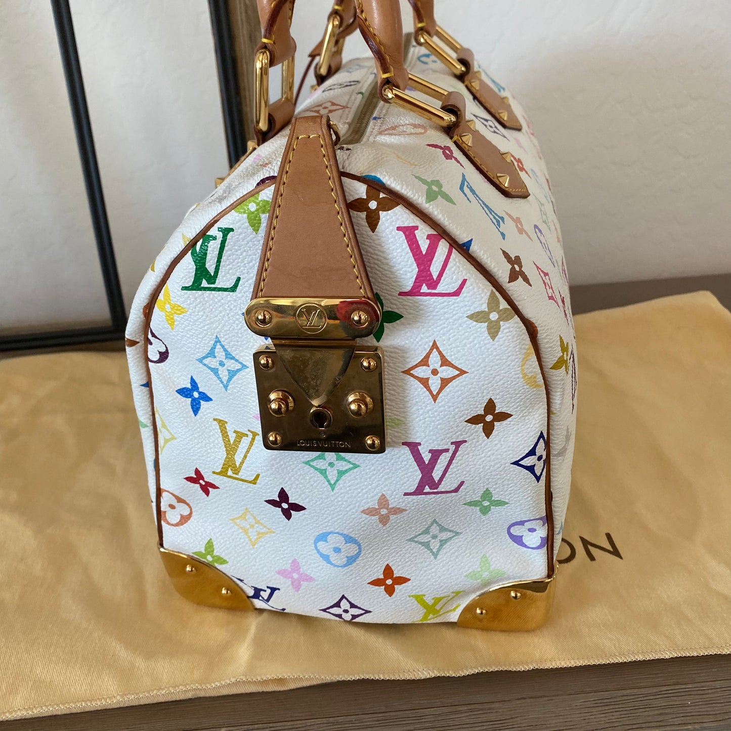 Louis Vuitton Speedy 30 Multicolor