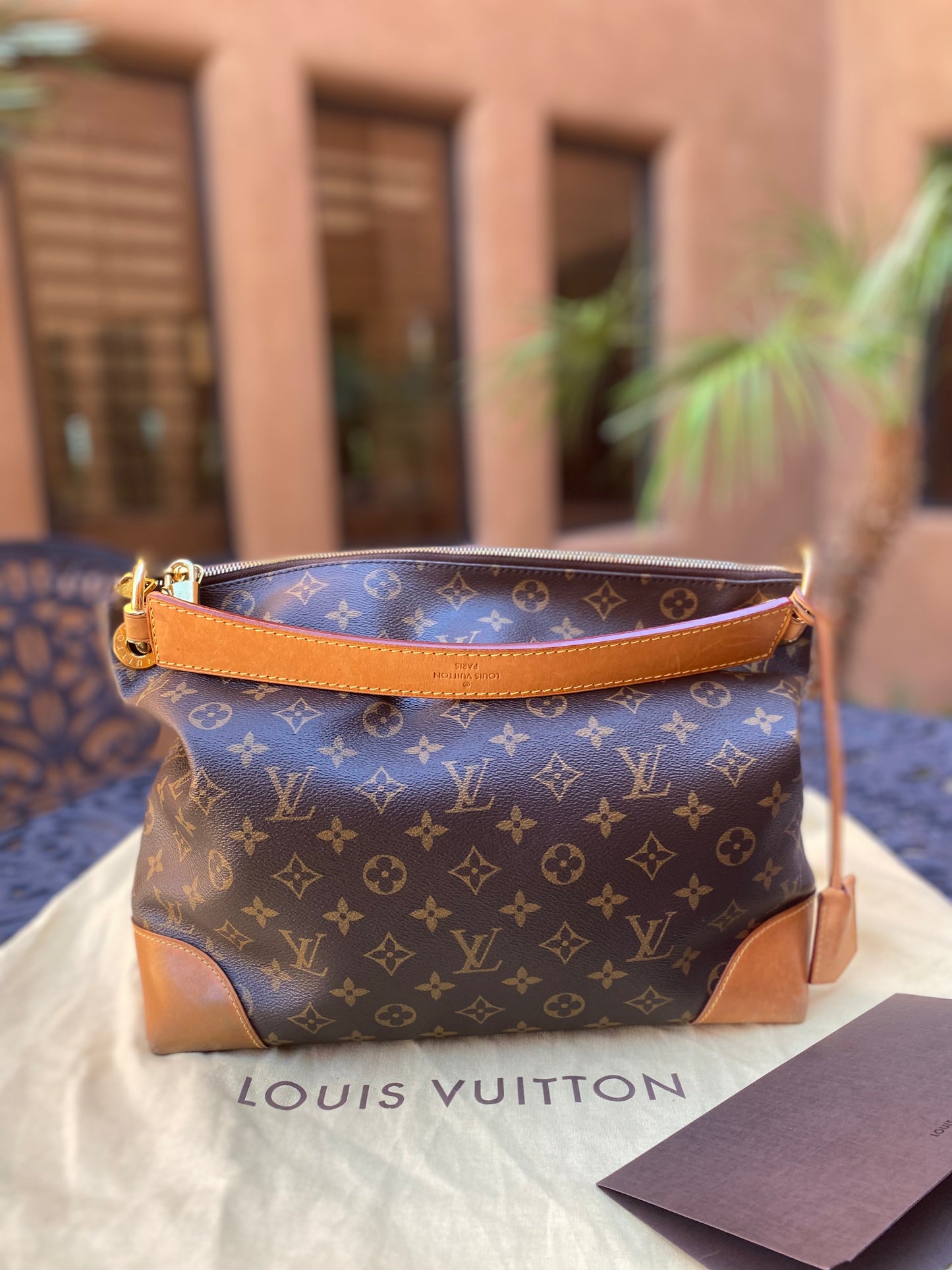 Louis Vuitton Monogram Berri PM Shoulder Bag